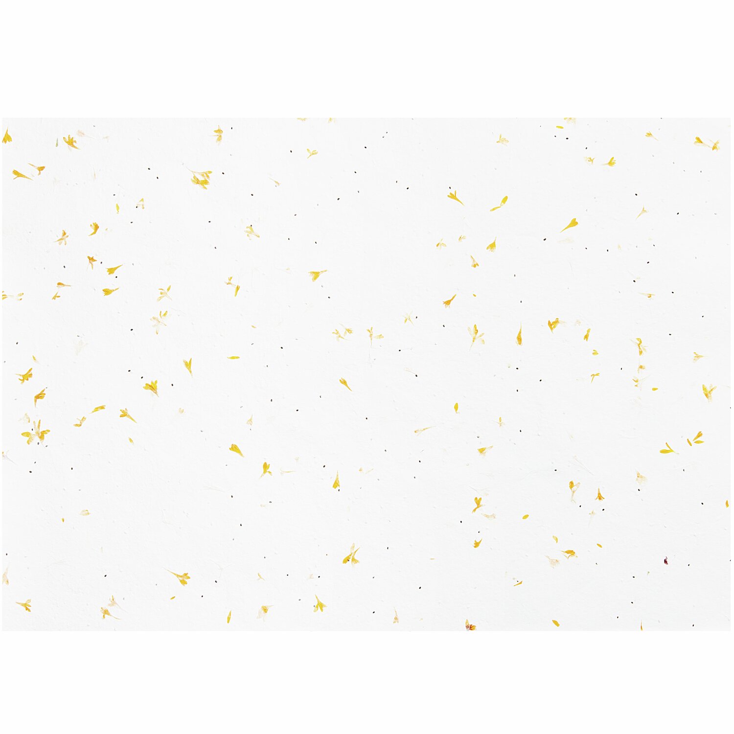 Paper Poetry Bastelbogen aus Baumwollpapier mit Blütenmuster, 50x70cm, von Rico Design.