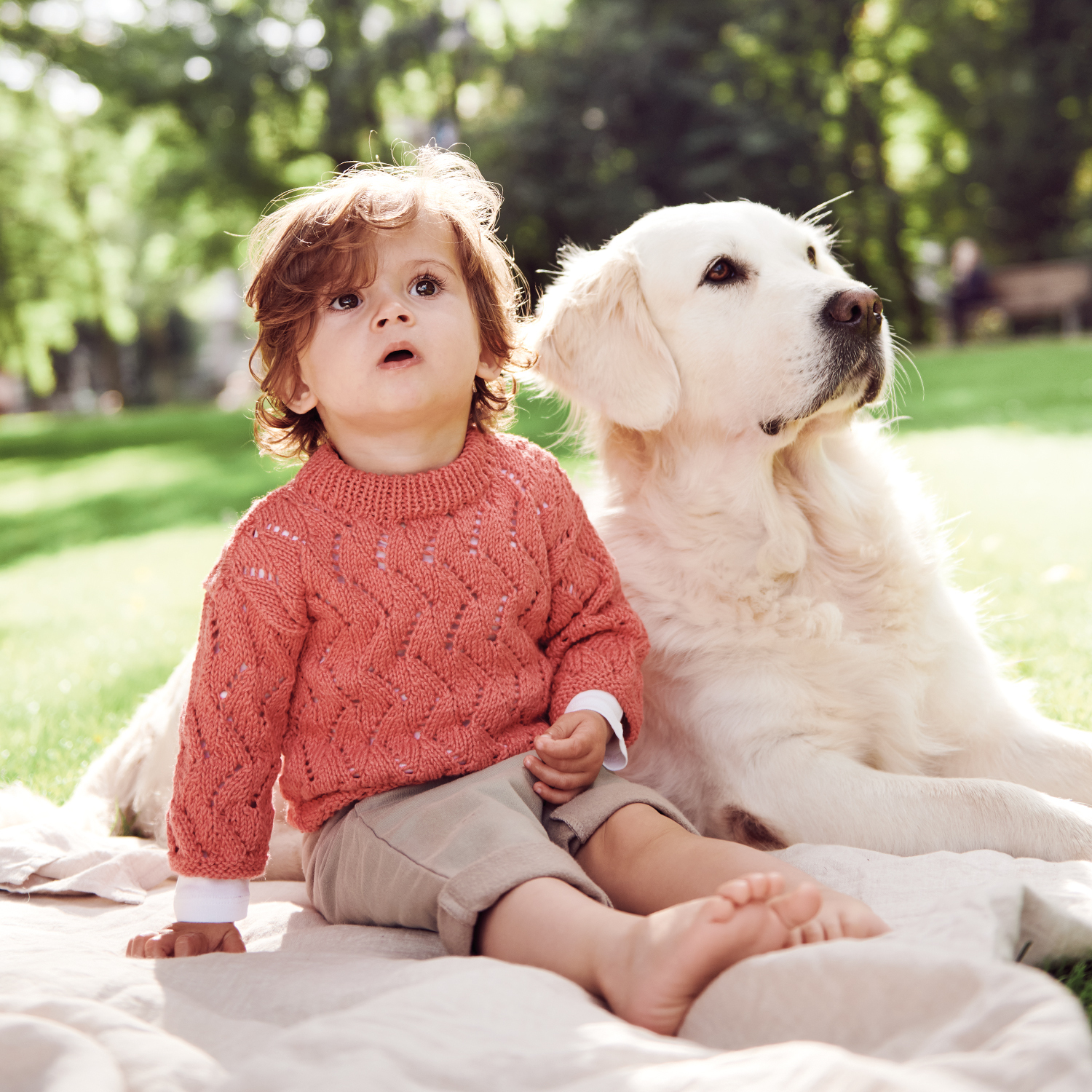 Strickanleitung Longsleeve aus Rico Baby Cotton Soft dk: Kind im gestrickten Pullover sitzt neben einem Hund auf einer Decke im Park.