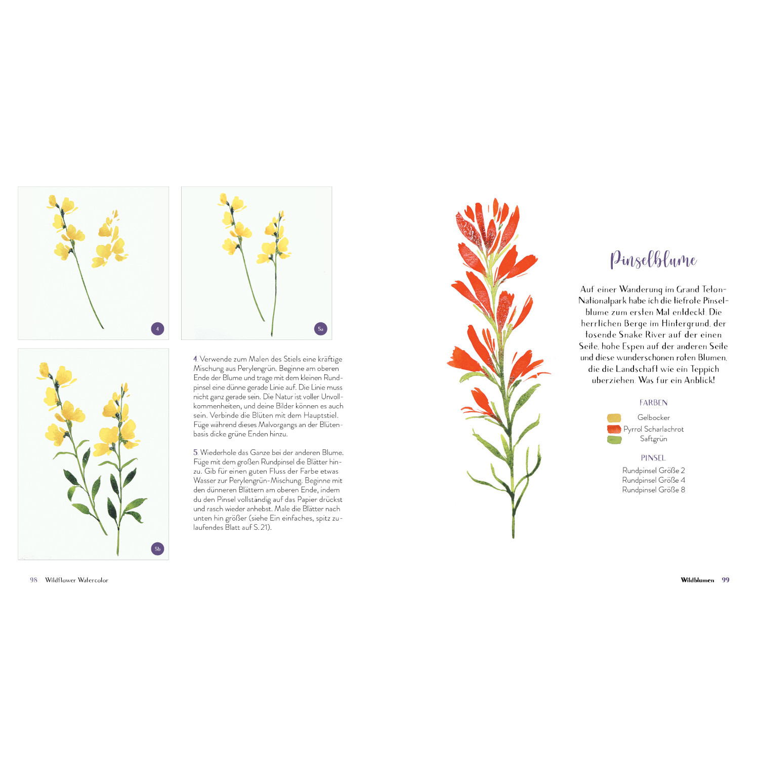 Wildflower Watercolor zeigt detaillierte Aquarelle von gelben und roten Blumen mit Anleitung.
