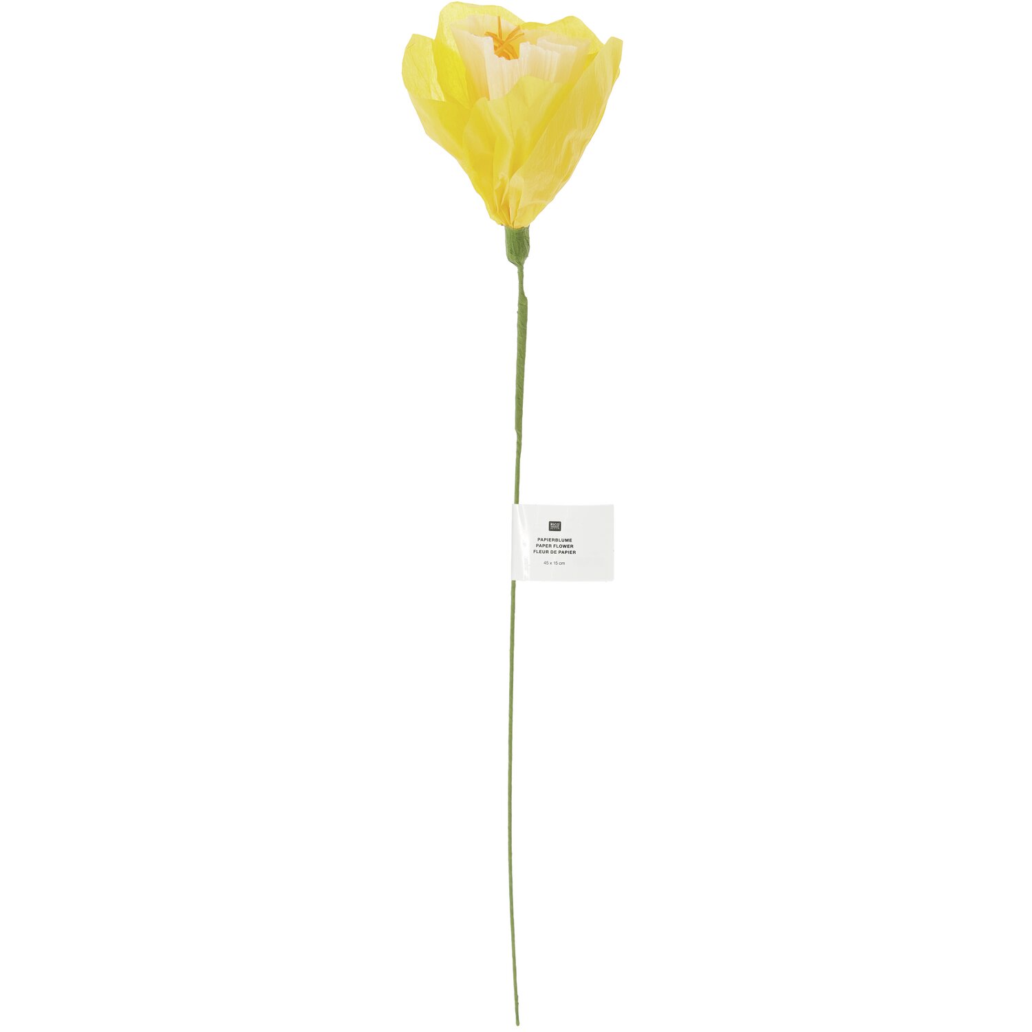 Papierblume Narzisse in Gelb-Weiß von Rico Design, 45x15cm, auf langem Stiel, ideal für Dekorationen.