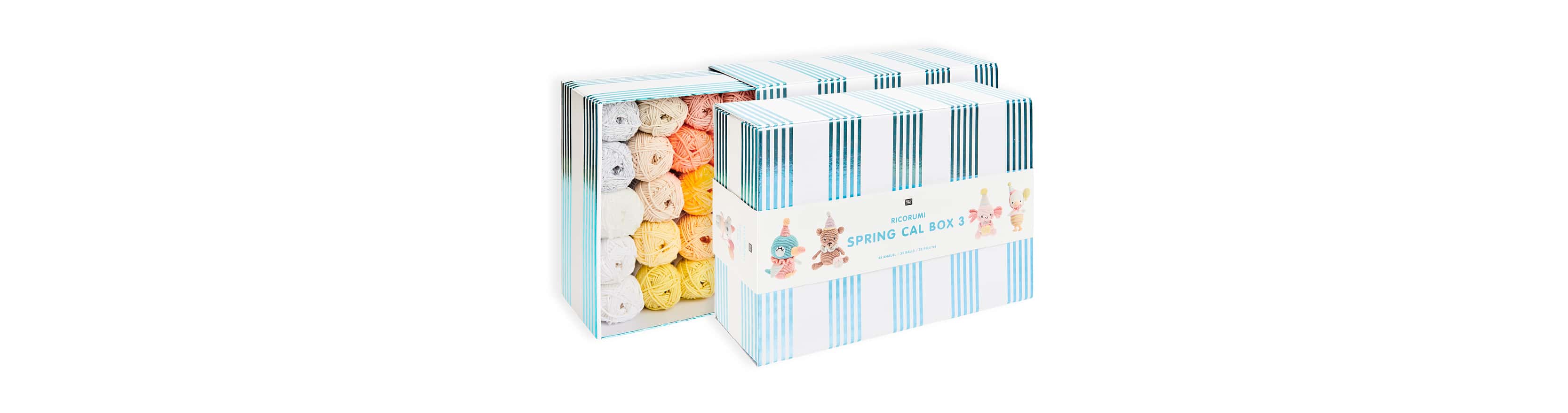 Ricorumi Spring CAL Box 6 Birthday Party
