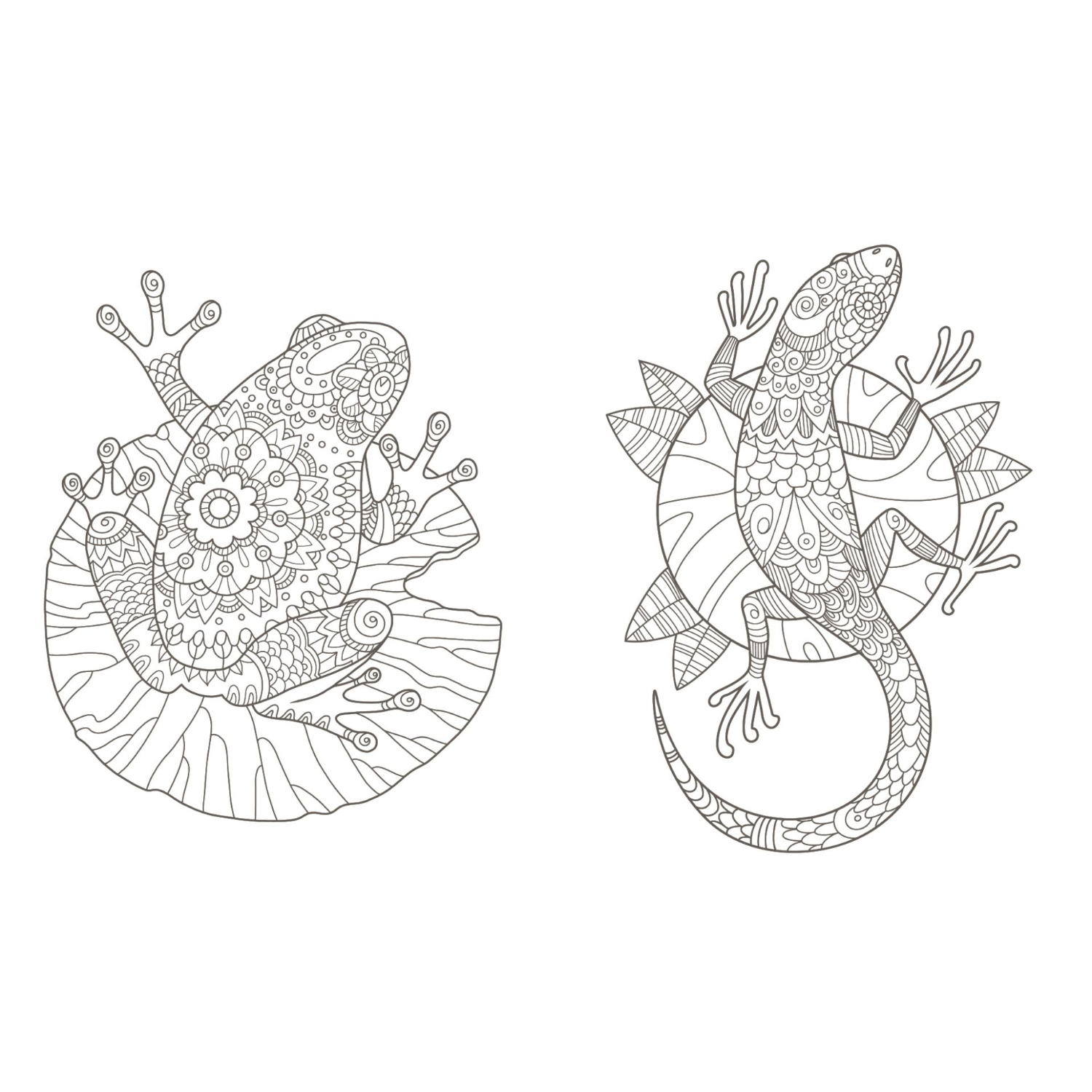 Colorful Mandala - Spaziergang durch die Natur: Detaillierte Mandala-Muster von Frosch und Eidechse. Ideal für kreative Entspannung.