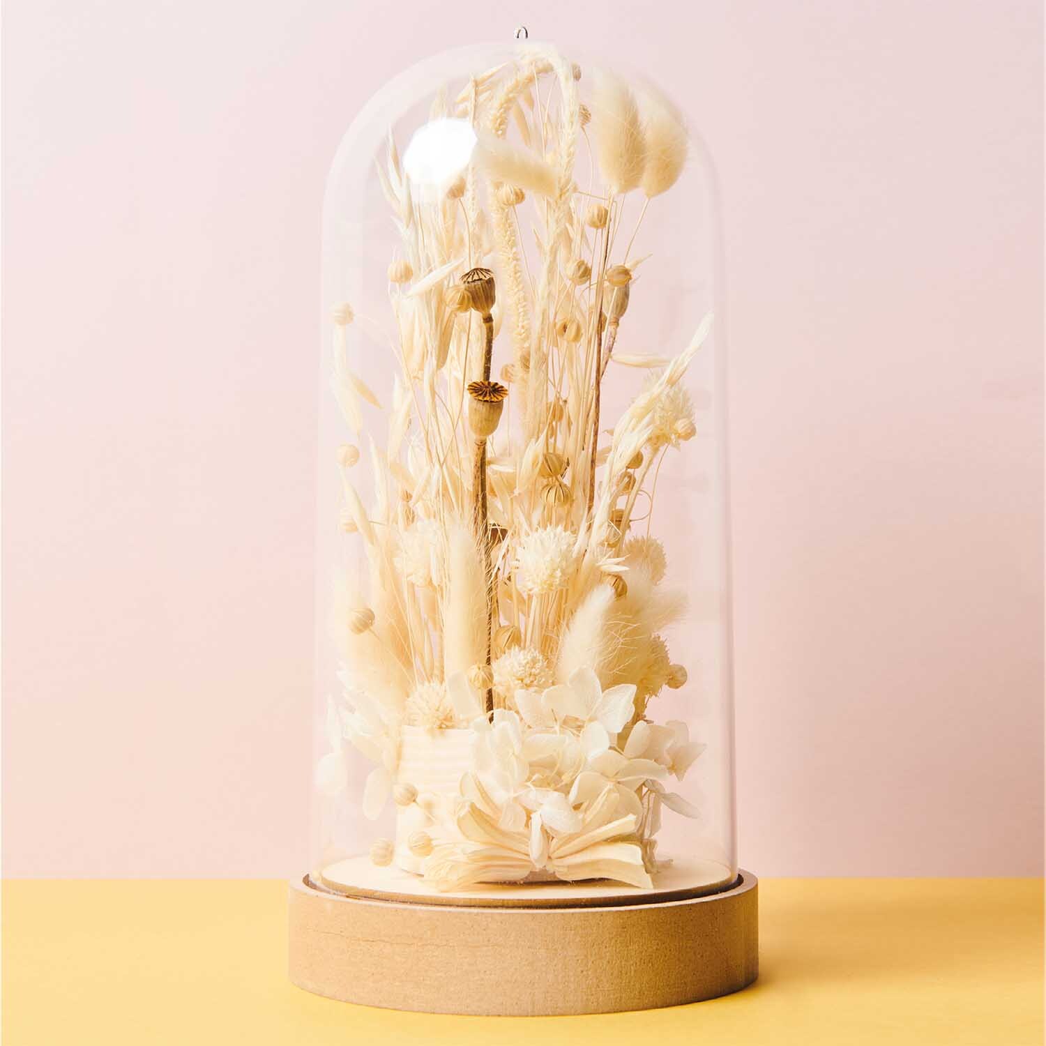 Steckschaum für Trockenblumen 7,5x4cm von Rico Design in einer Glasglocke mit eleganten, weißen Trockenblumen arrangiert.