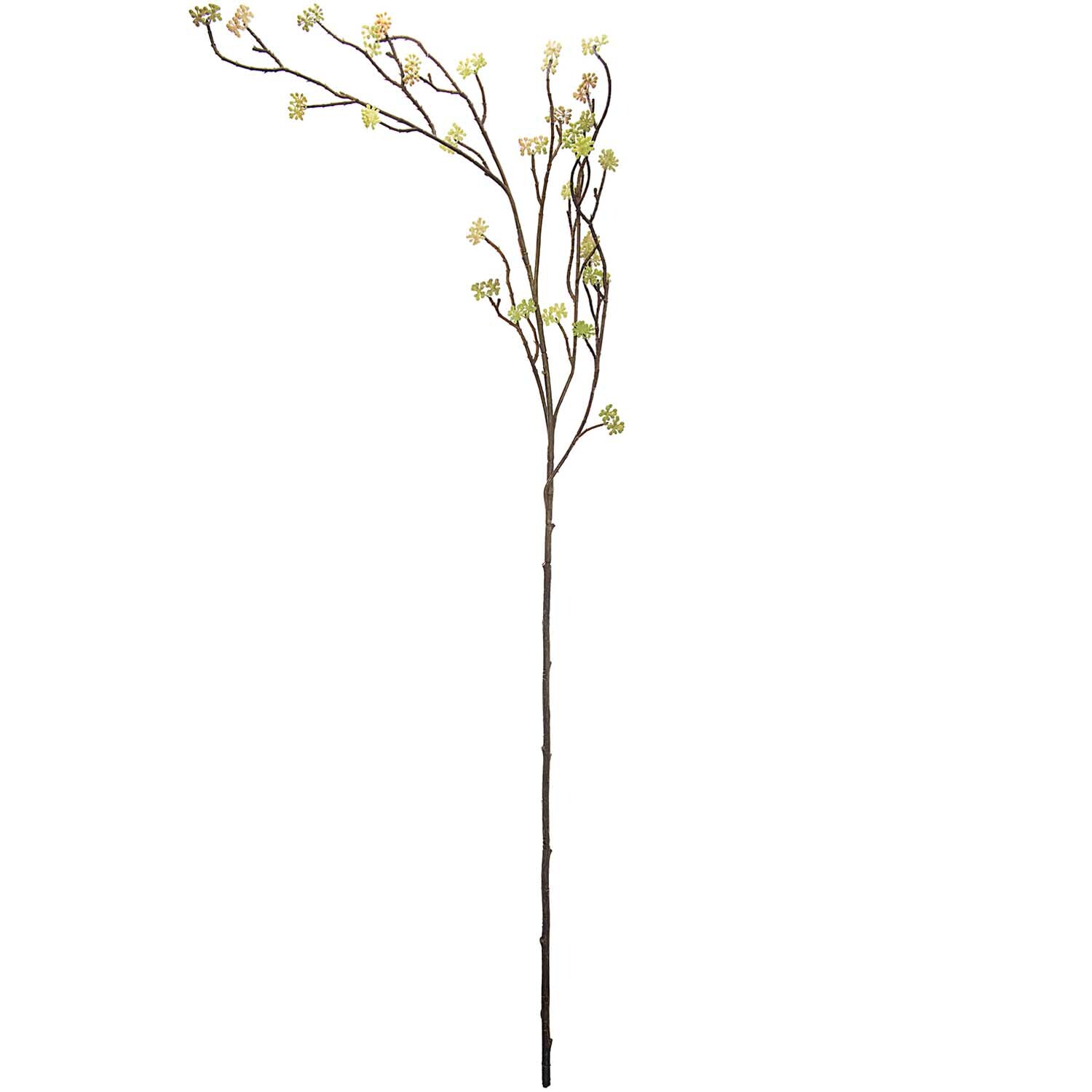 Dekozweig Knospen grün-braun 106cm: Filigraner Zweig mit grünen Knospen, ideal für kreative Dekorationen.