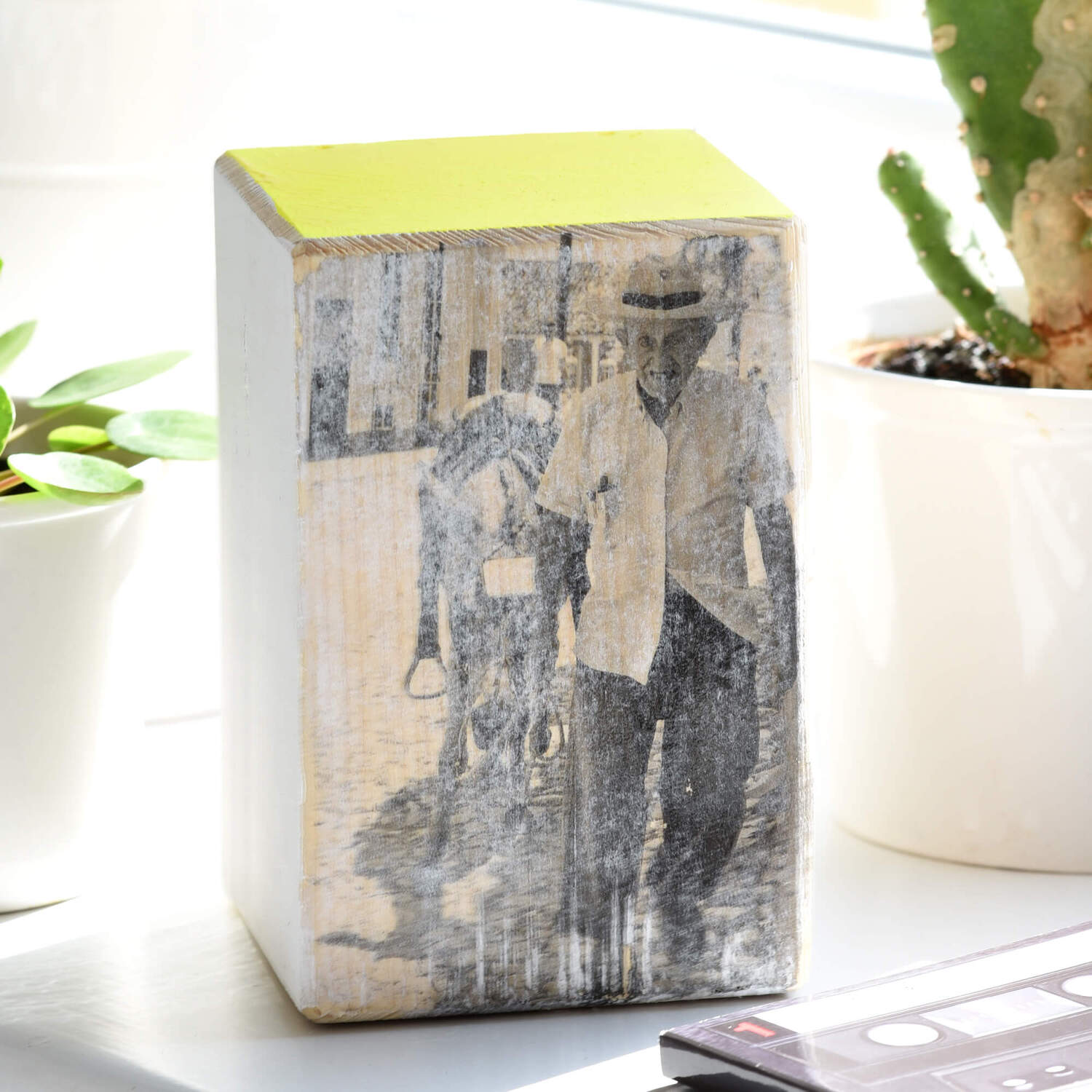 Bastelanleitung Fototransfer auf Holz: Schwarz-weißes Bild auf Holzblock, umgeben von Pflanzen.