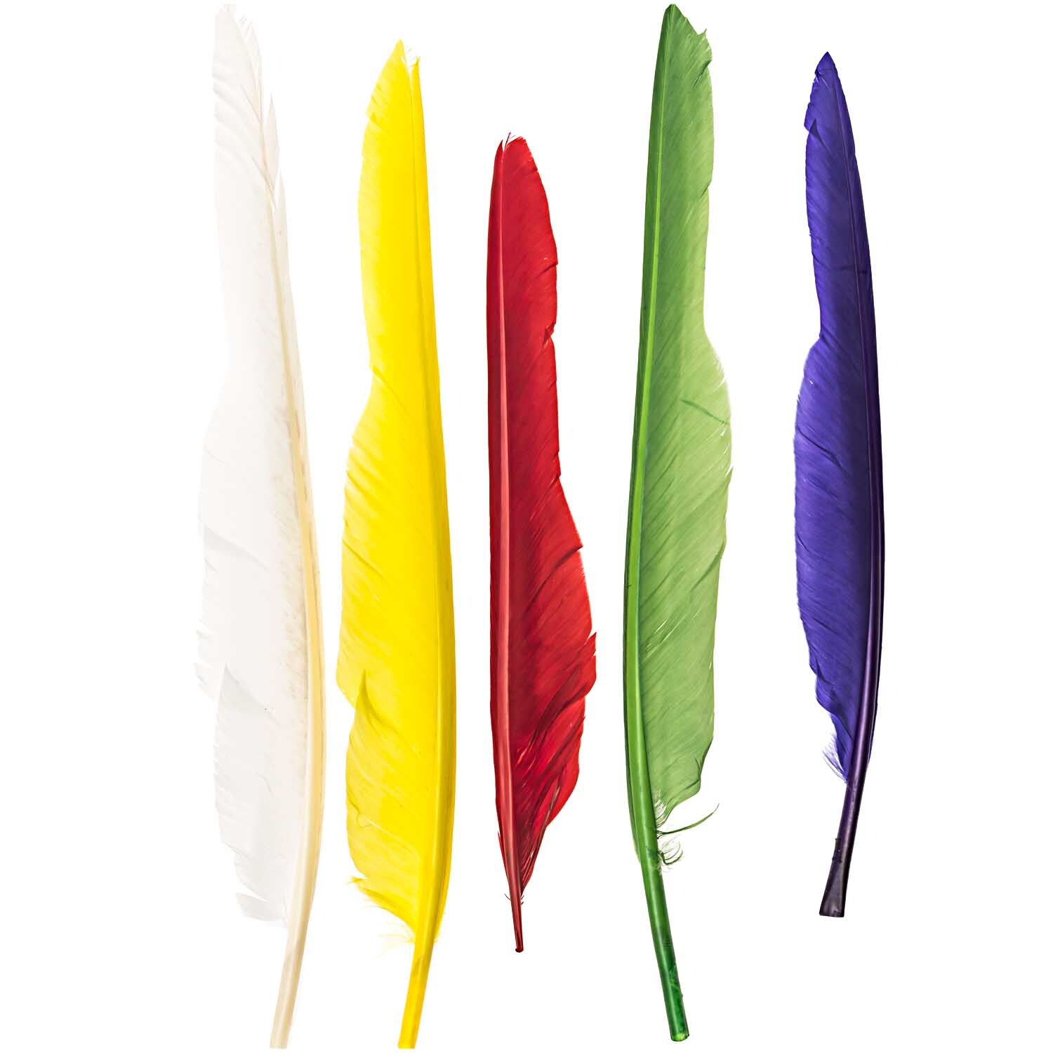 Federn Mix 10 Stück: Fünf bunte Federn in Weiß, Gelb, Rot, Grün und Blau von idee. Creativmarkt.