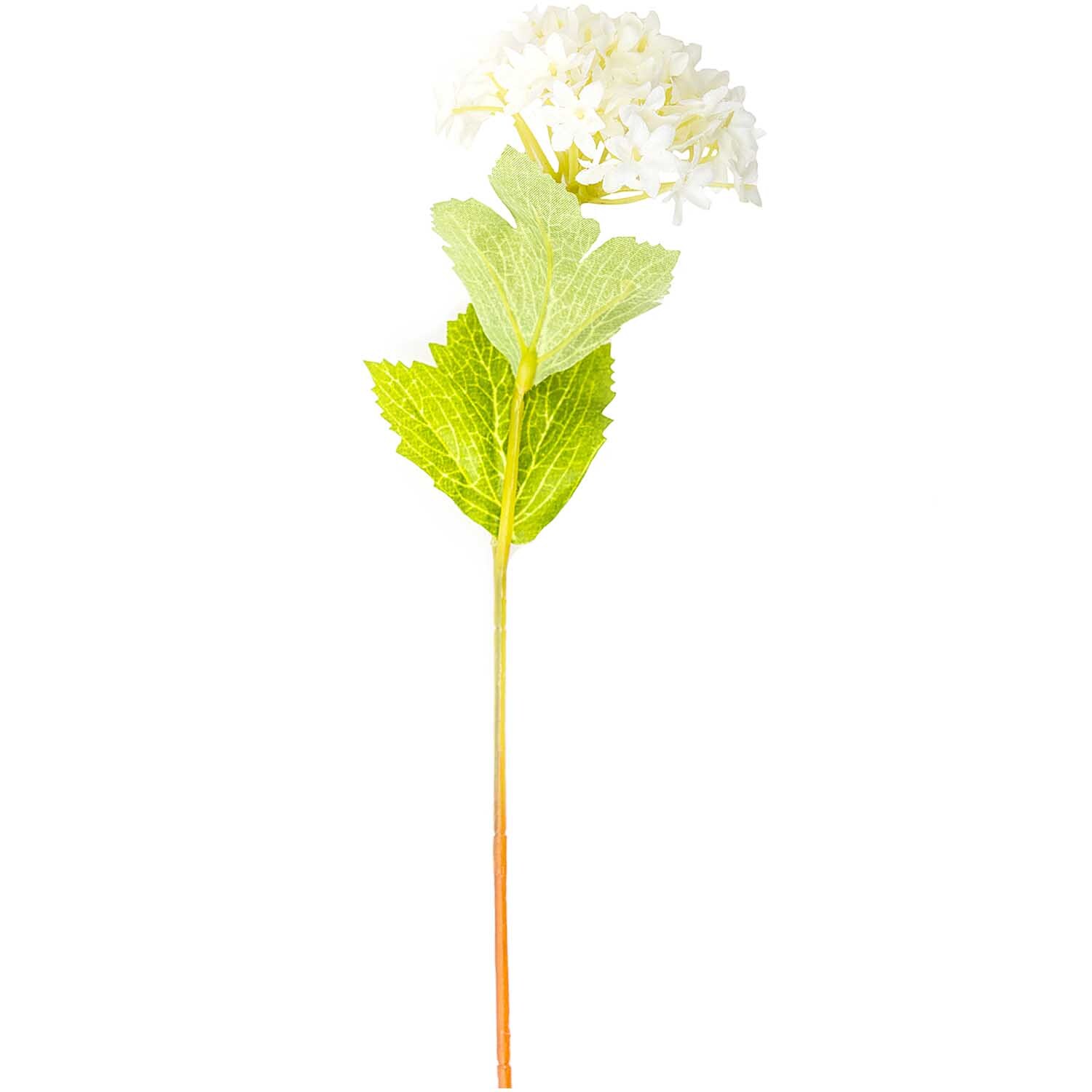 Hortensie weiß 32cm mit grünen Blättern, angeboten von idee. Creativmarkt, ideal für Dekorationen.
