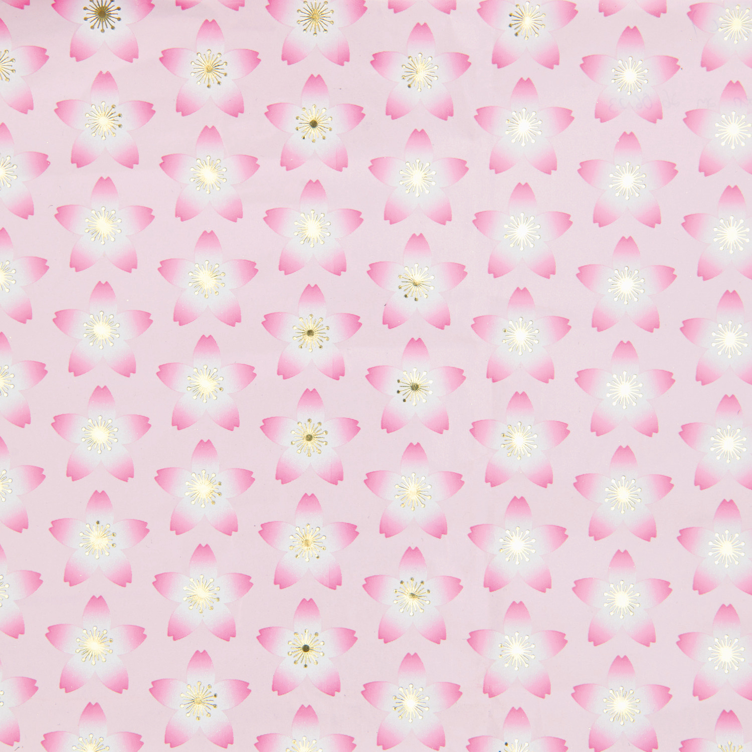 Geschenkpapier Kirschblüten Pink von Rico Design mit zarten Kirschblütenmuster auf rosa Hintergrund.