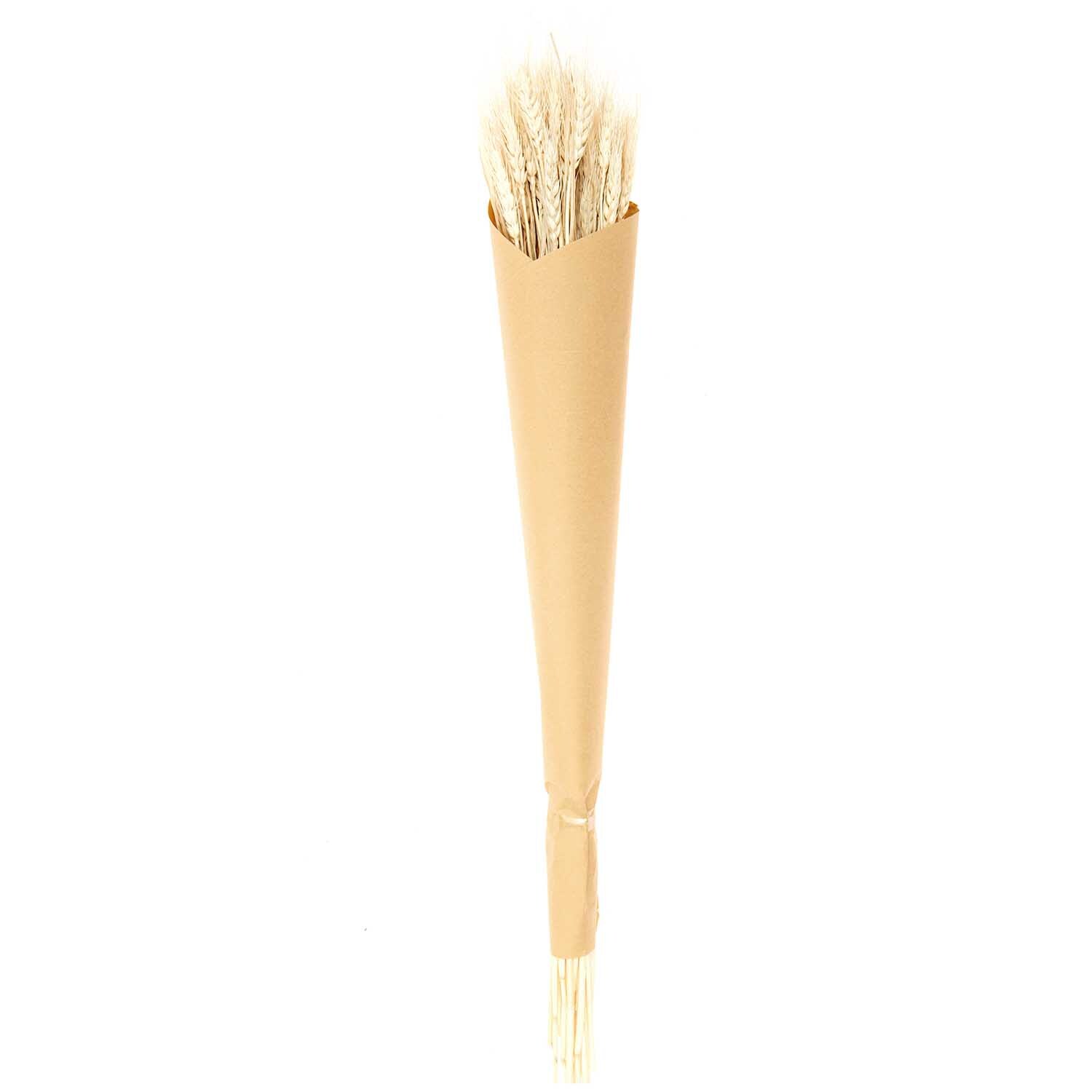 Getrockneter Weizen natur 60-70cm 50 Stück von Rico Design