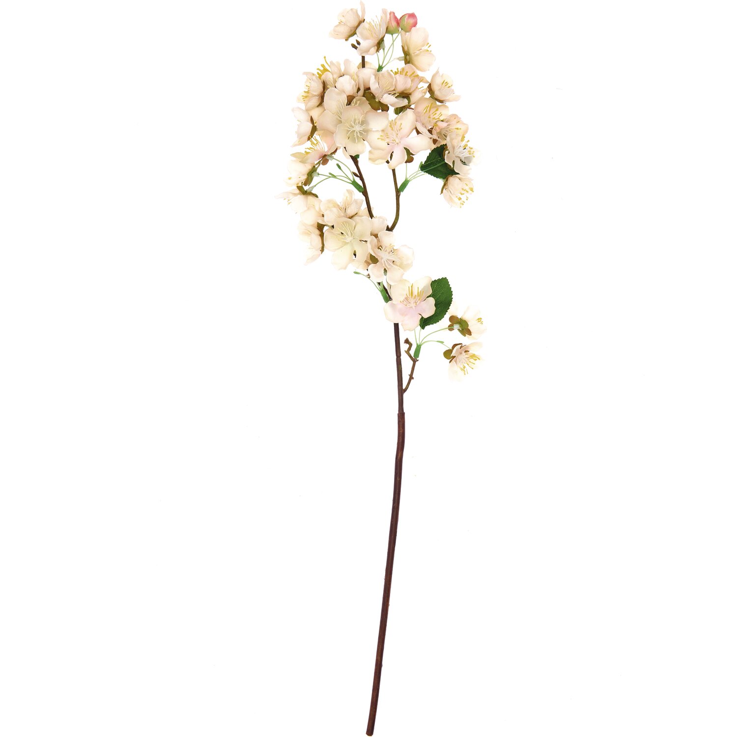 Kirschblütenzweig weiß 57cm von Rico Design, zarte Blüten auf braunem Stiel, ideal für Dekorationen.