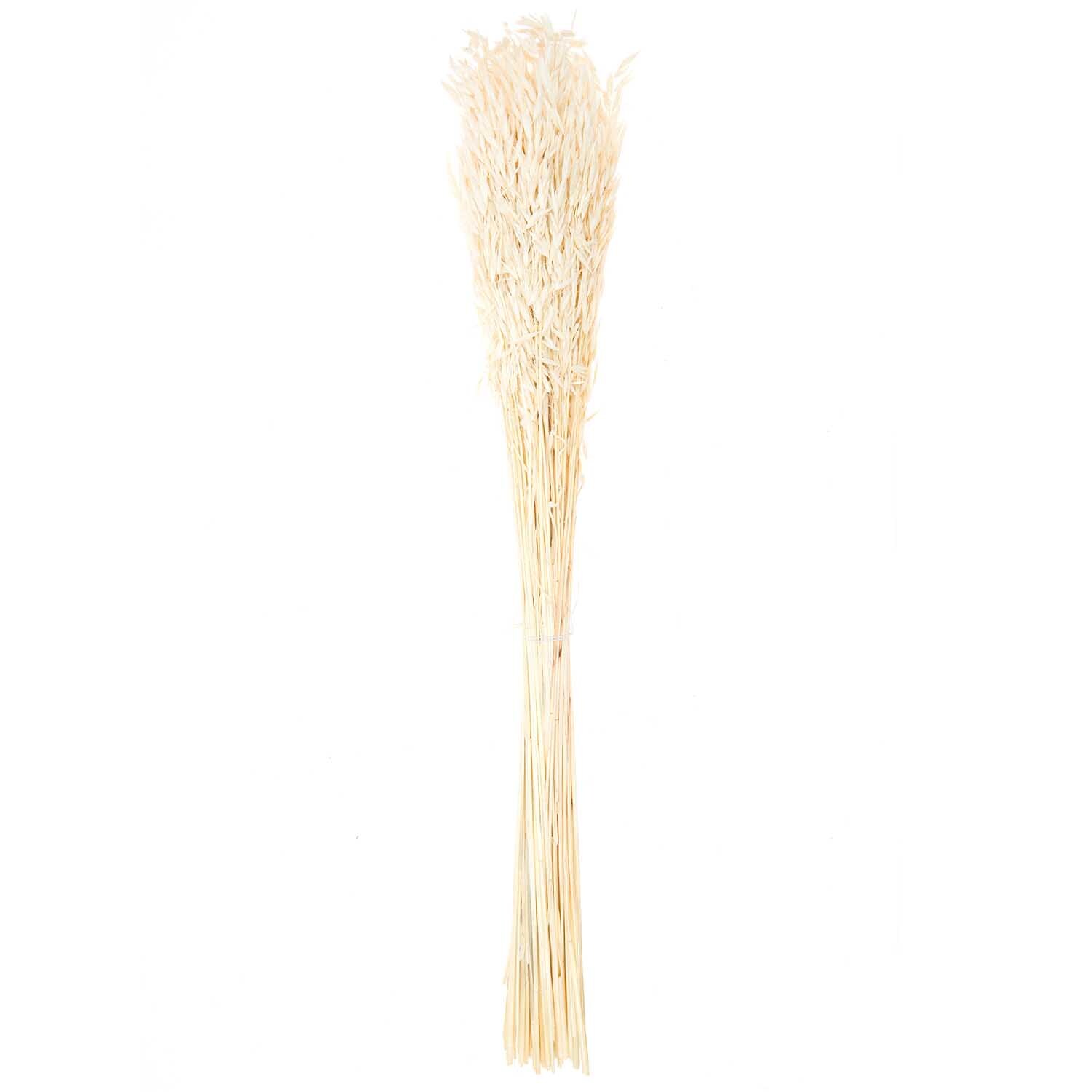Getrockneter Hafer natur 60-75cm 100g von Rico Design, gebündelt, ideal für Dekorationen.
