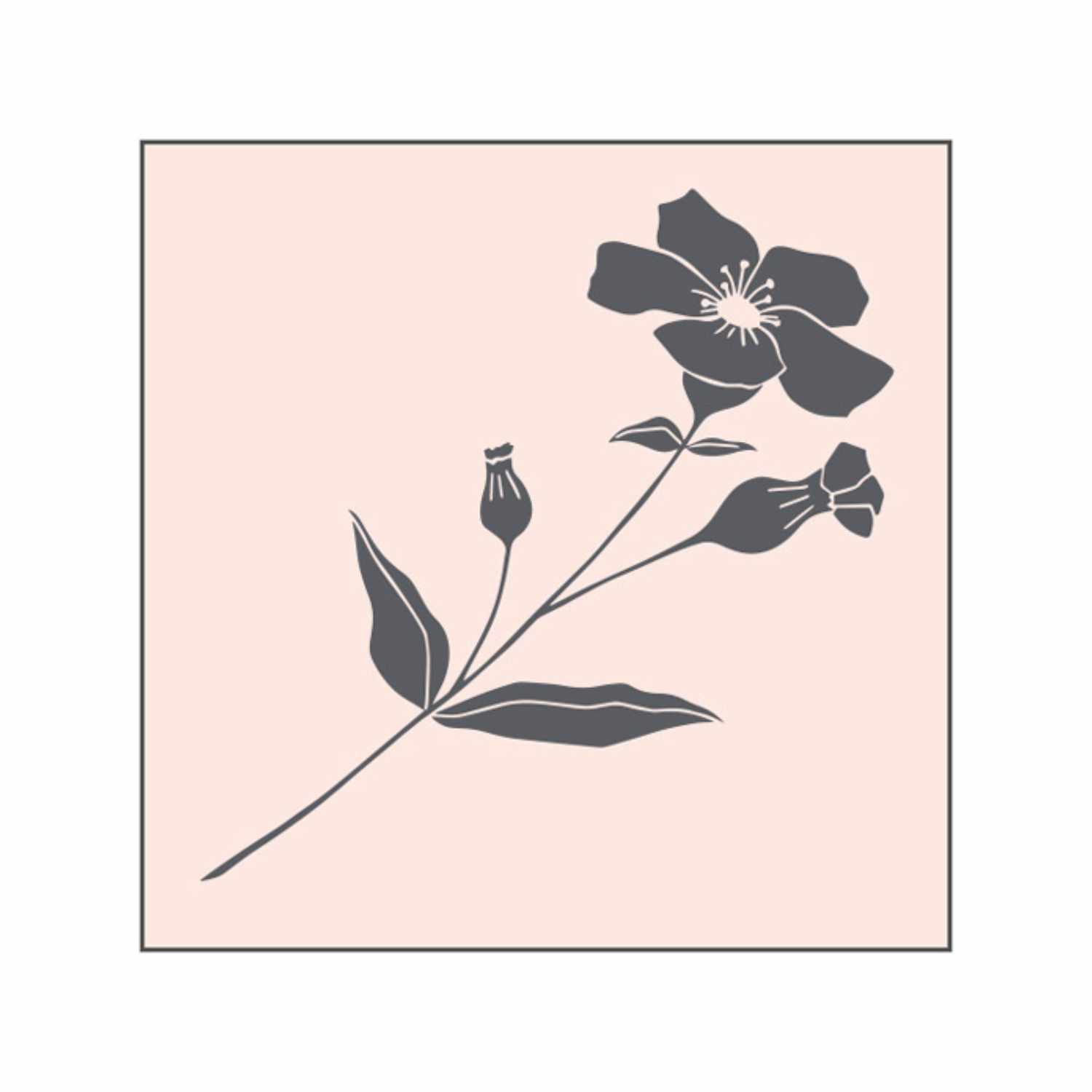 Stempel Wildblume nude 45x45mm zeigt eine zarte Blume auf hellem Hintergrund, ideal für kreative Projekte. Marke: May&Berry.