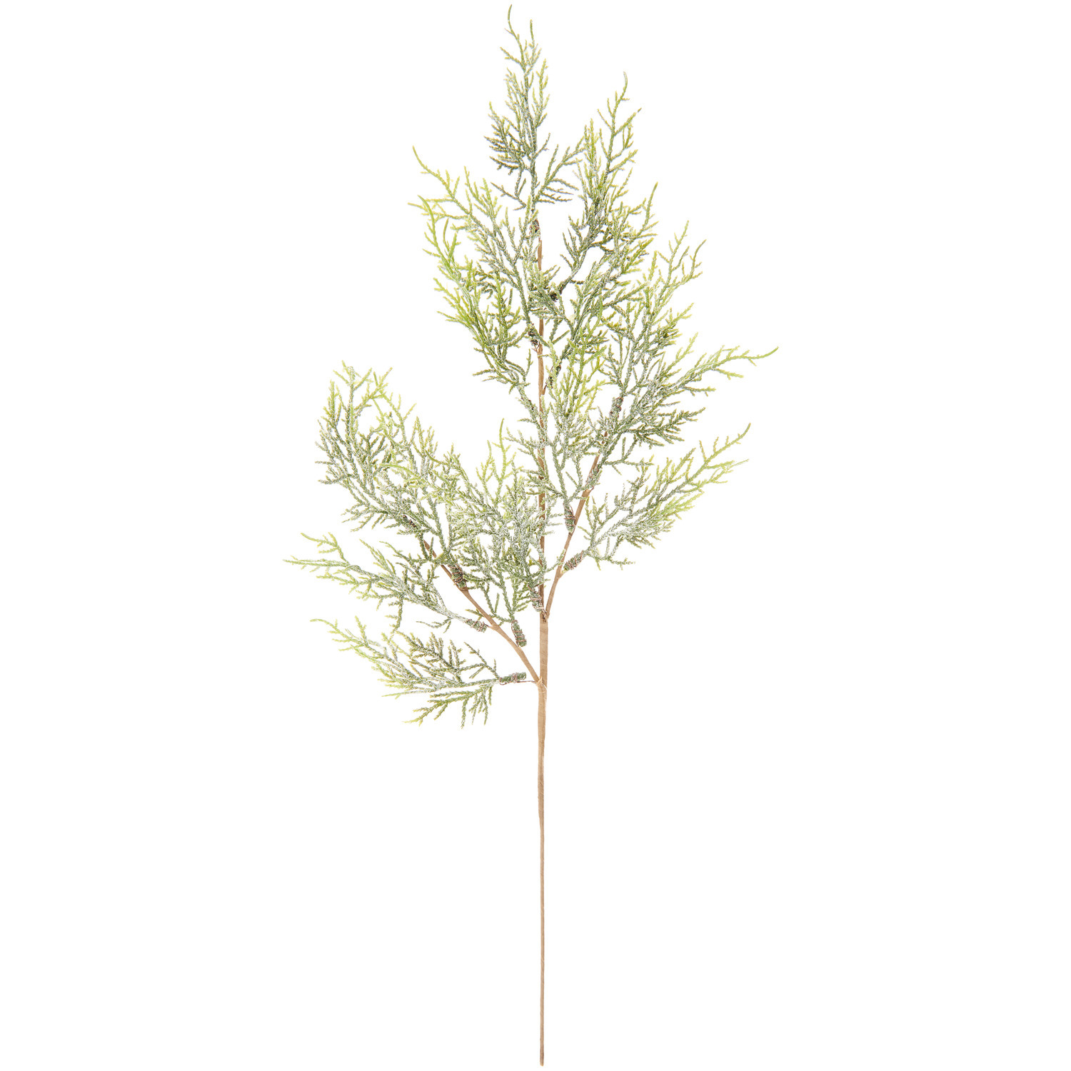 Koniferenzweig geeist, 56cm, von Rico Design. Der grüne Zweig ist mit einem frostigen Effekt verziert.
