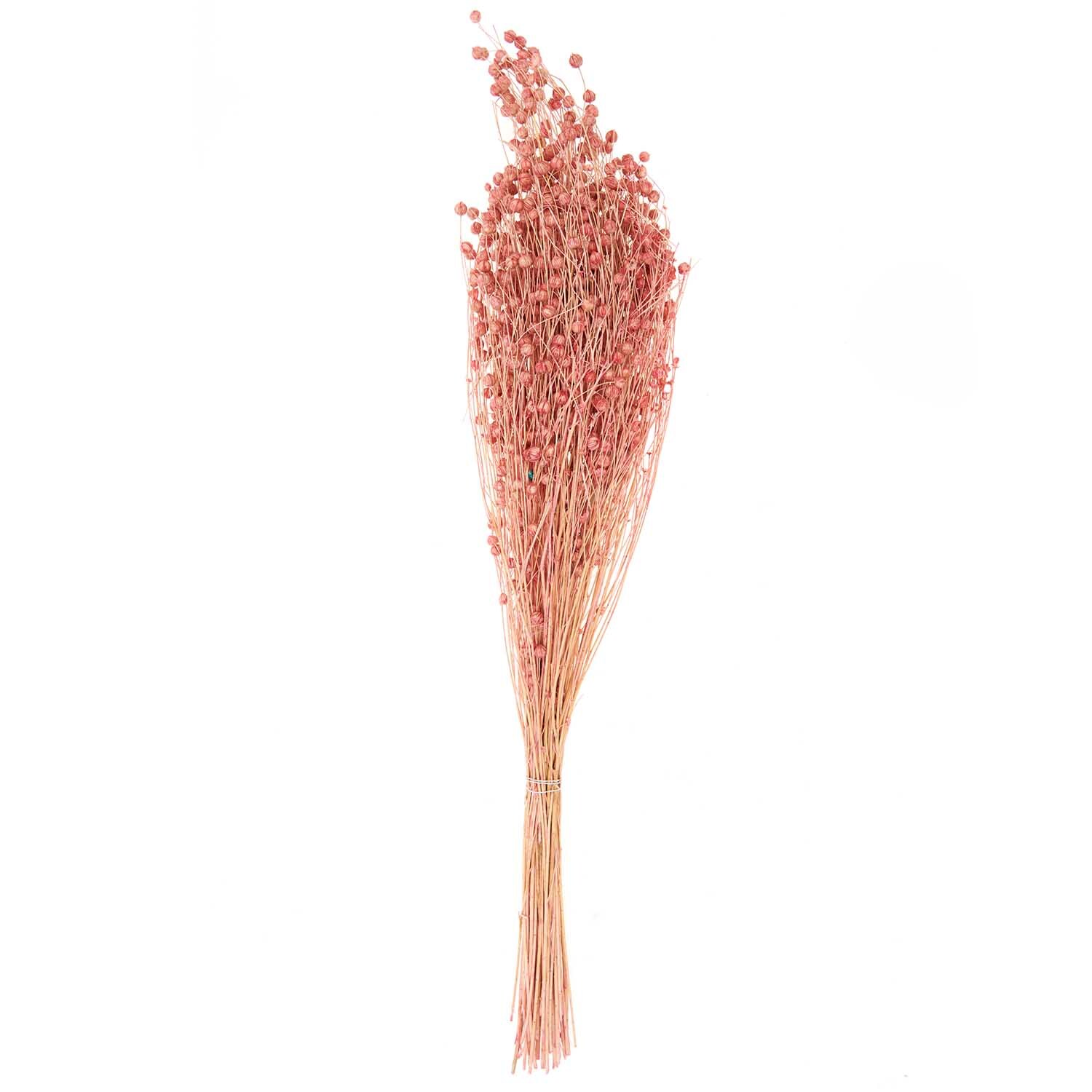 Getrockneter Flachs pink 60-75cm 100g von Rico Design, dekorativer Strauß mit zarten Blüten.