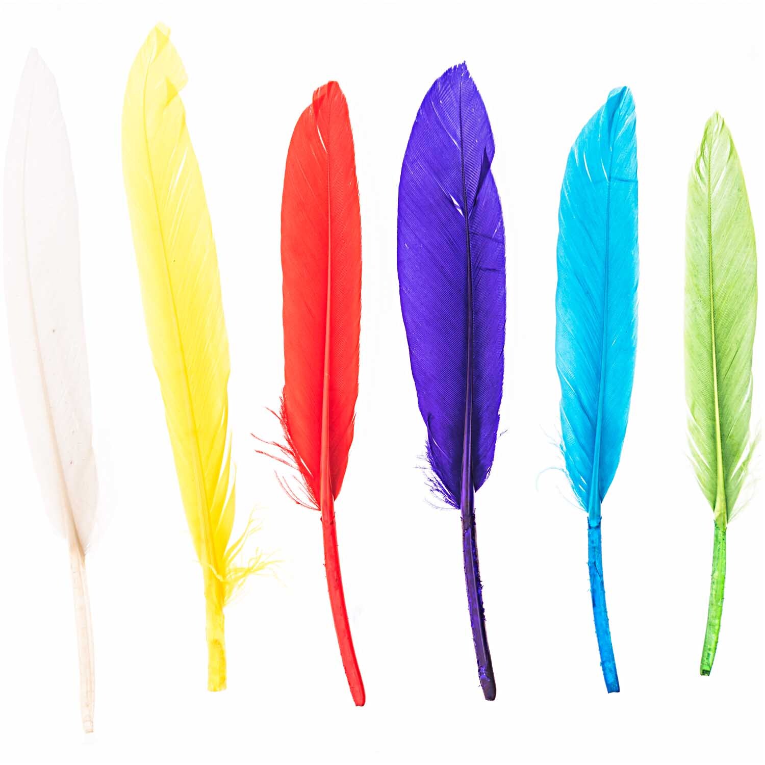 Federn Mix 24 Stück: Sechs bunte Federn in verschiedenen Farben von idee. Creativmarkt auf weißem Hintergrund.
