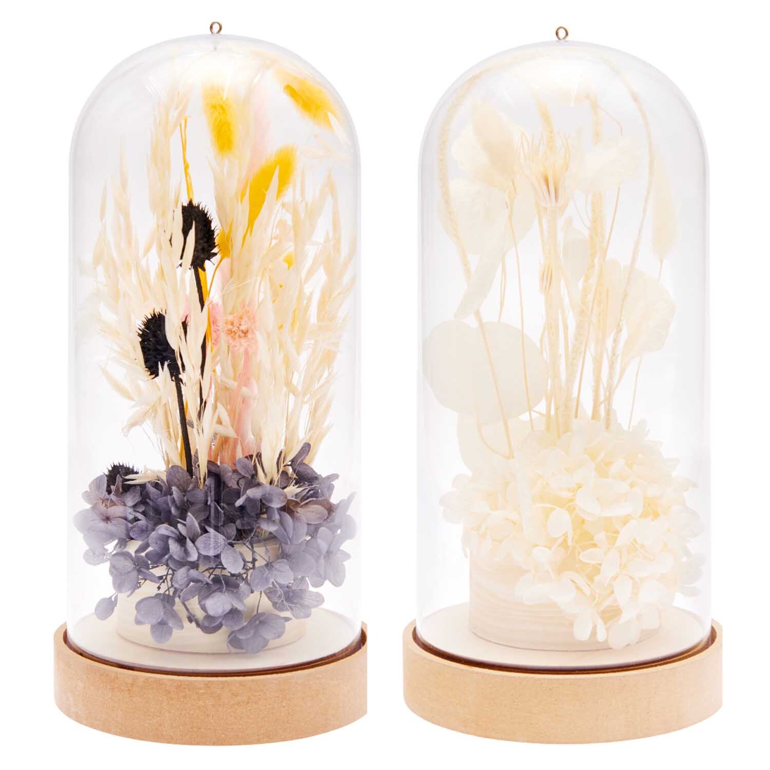 Steckschaum für Trockenblumen von Rico Design in Glasglocke mit bunten Trockenblumenarrangements.