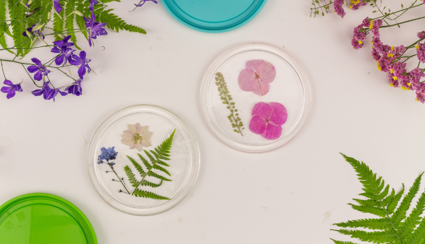Bastelanleitung Untersetzer aus Resin mit gepressten Blumen, umgeben von lila und grünen Pflanzen.