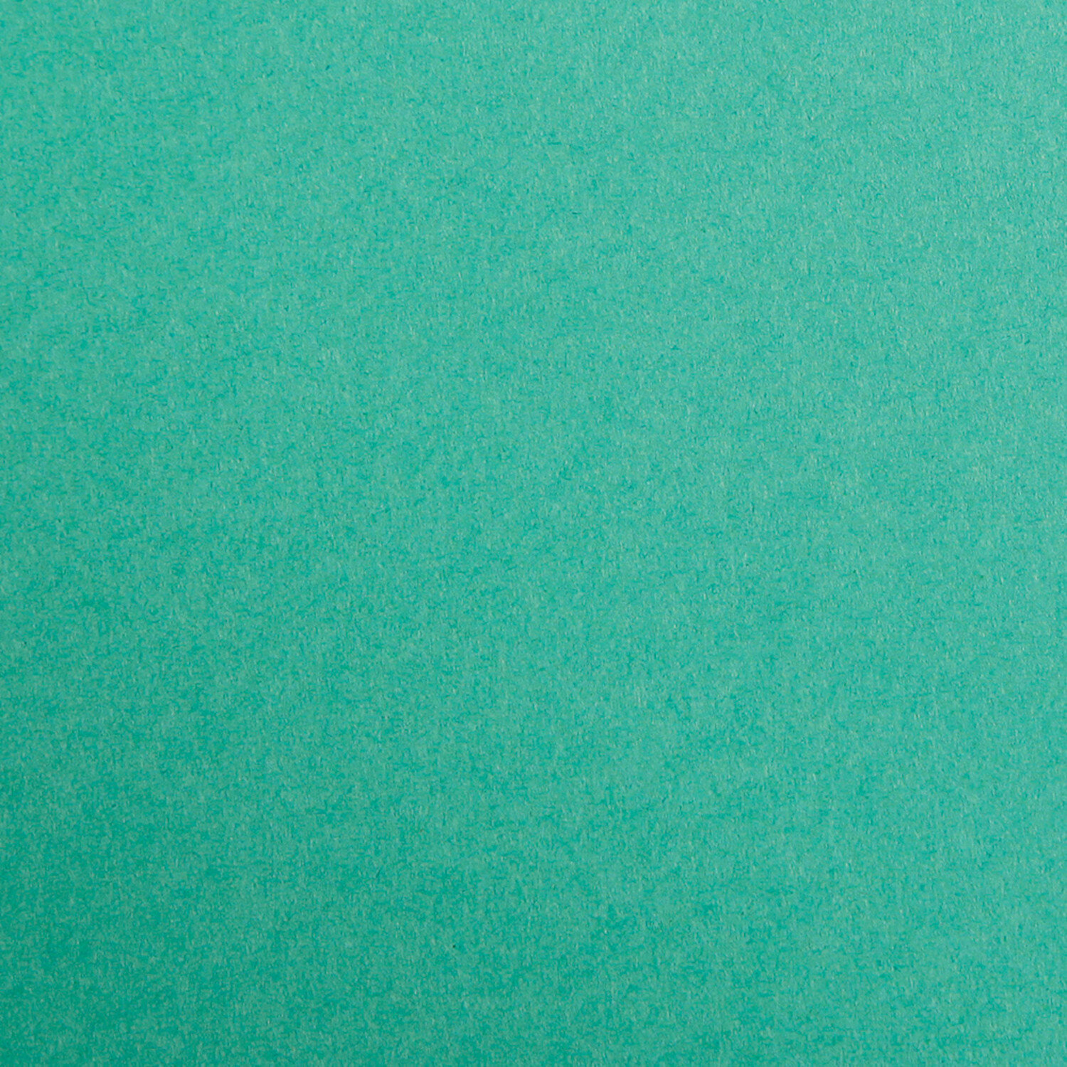 Tonzeichenpapier 50x70cm in Tannengrün von Clairefontaine, 120g/m². Ideal für kreative Projekte.