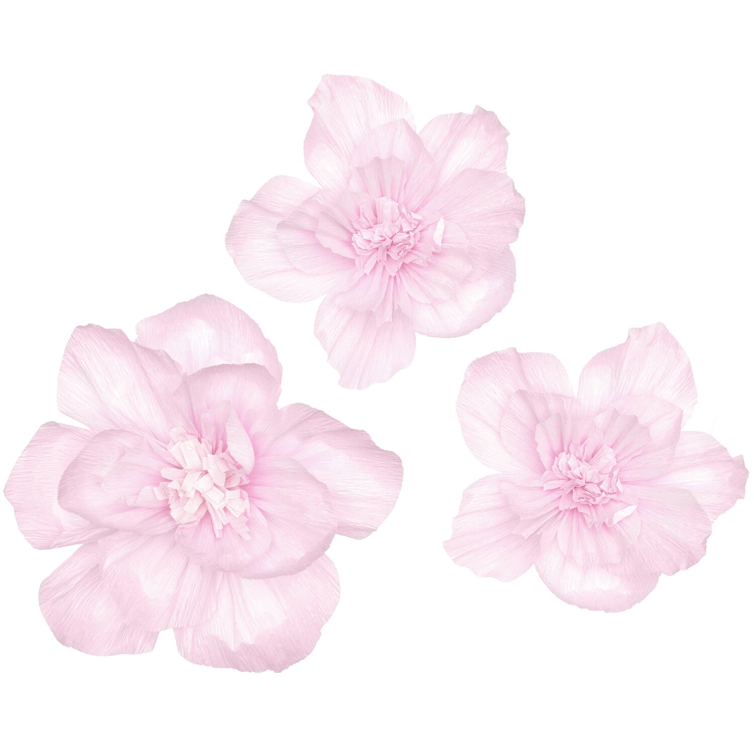 Krepppapier Blüten von Rico Design in zartem Rosa, drei Stück, kunstvoll arrangiert.
