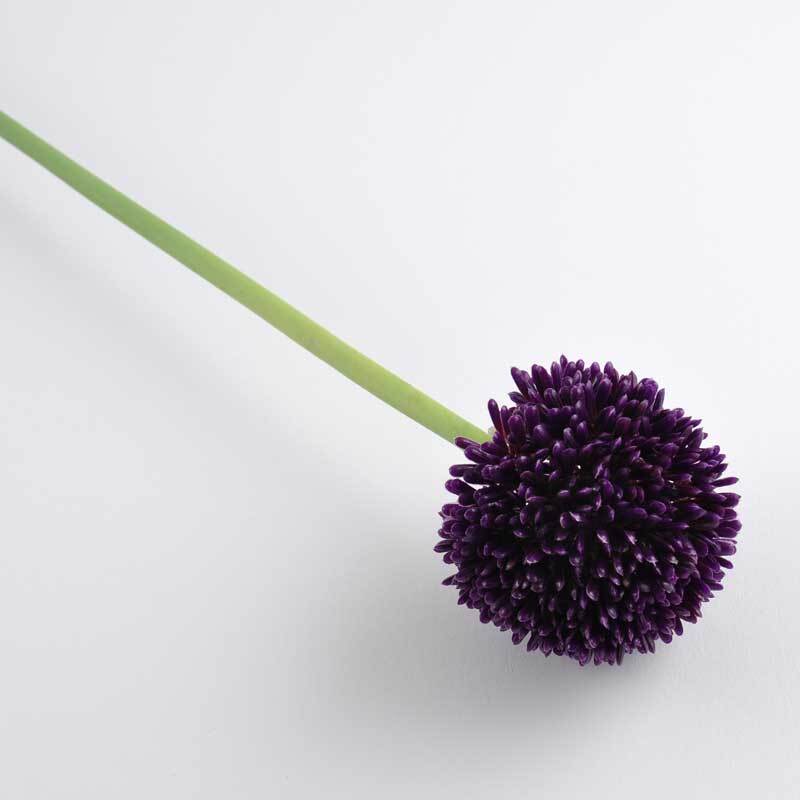 Allium violett 59cm von idee. Creativmarkt 