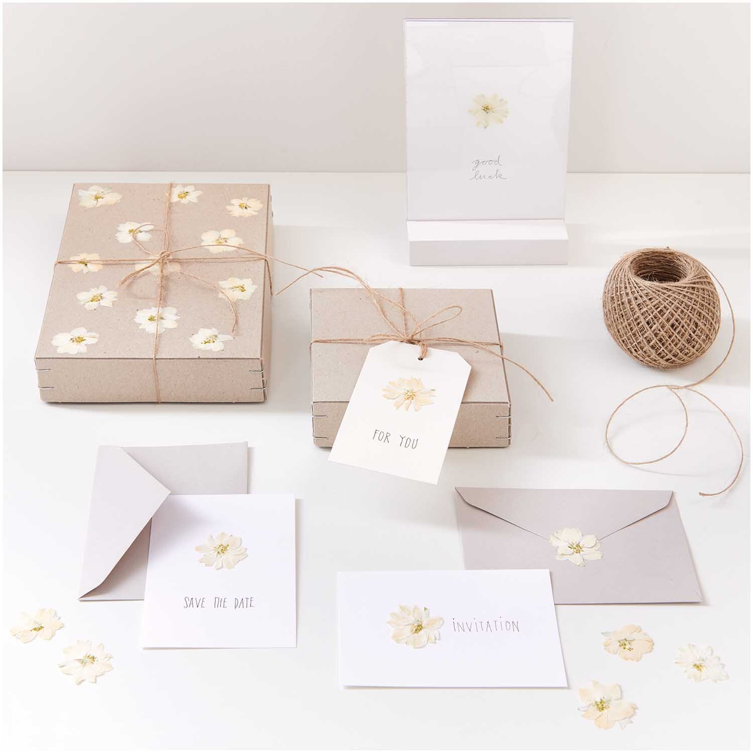 Gepresste Blüten Rittersporn weiß 8 Stück auf Einladungen und Geschenken dekoriert.