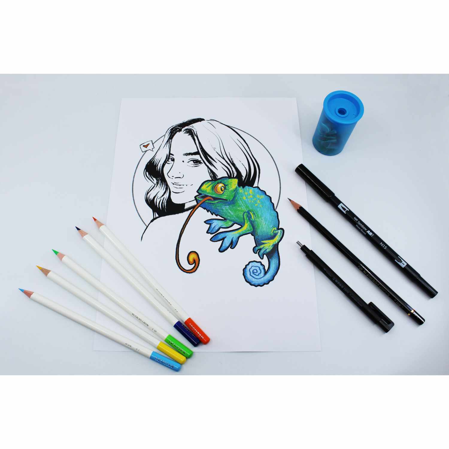 Sketching Set by Lazy Arts: Buntstifte und Stifte von Tombow neben einer Zeichnung mit Chamäleon.