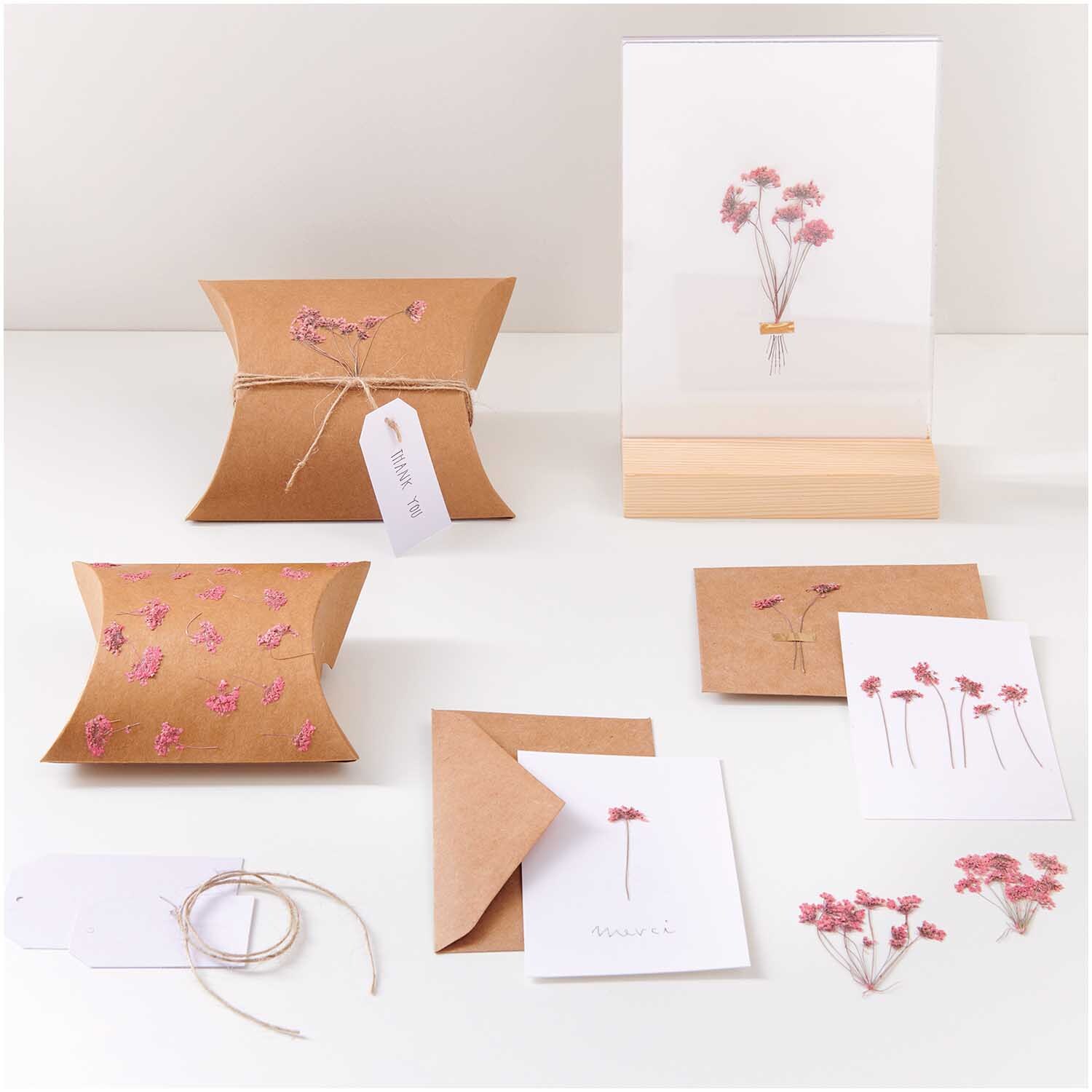 Gepresste Blüten Ammi Zweig rosa 4 Stück: Kreatives Set mit rosa Blüten und Karten, ideal für DIY-Projekte und Dekorationen.