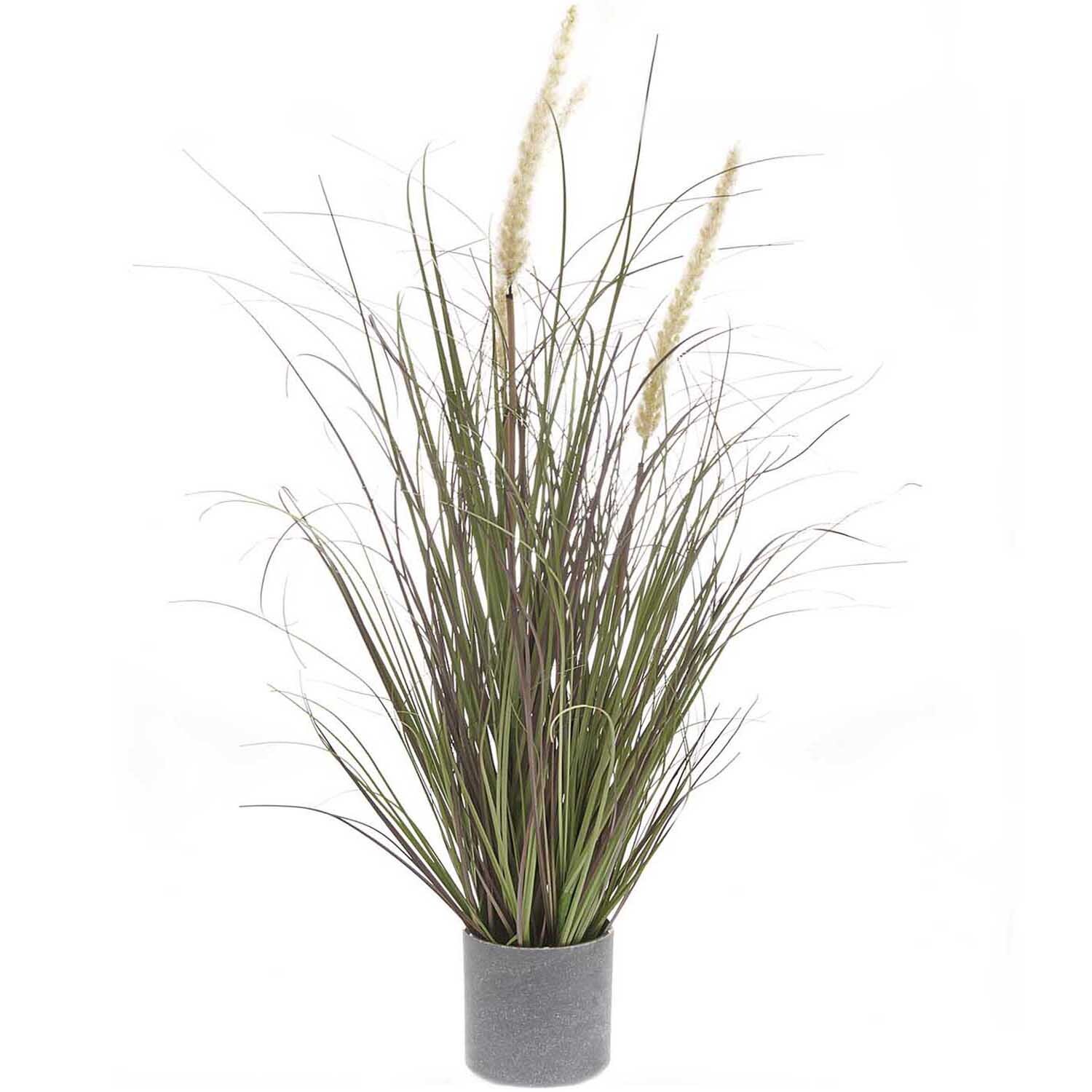 Dünengras im Topf 64cm von Rico Design: Dekoratives Gras in einem grauen Topf, ideal für Innenräume.