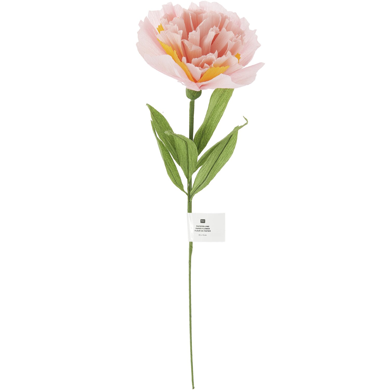 Papierblume Paeonie gefüllt 52x12cm Farbe Rosé von Rico Design