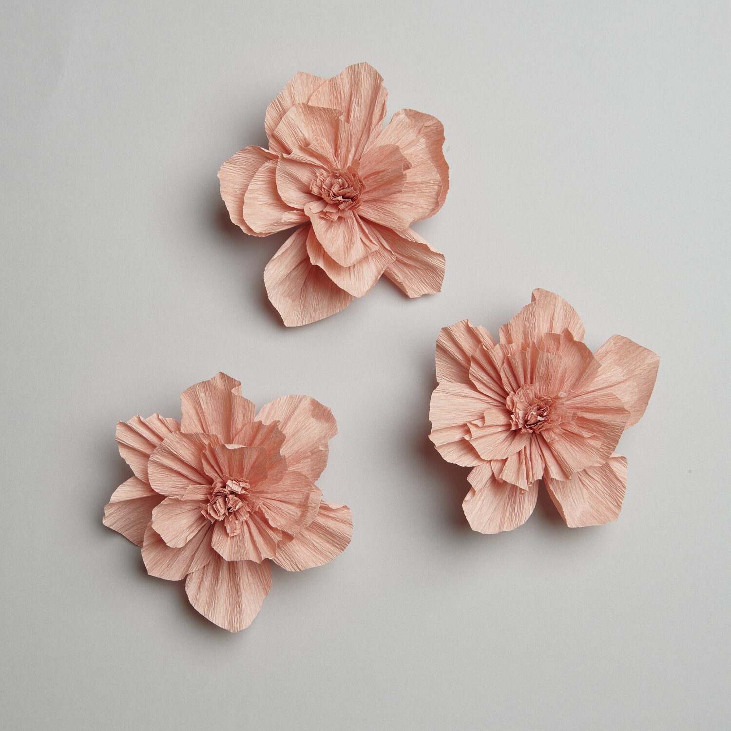 Krepppapier Blüten in Terracotta von Rico Design, drei Stück, Ø12cm, auf grauem Hintergrund arrangiert.
