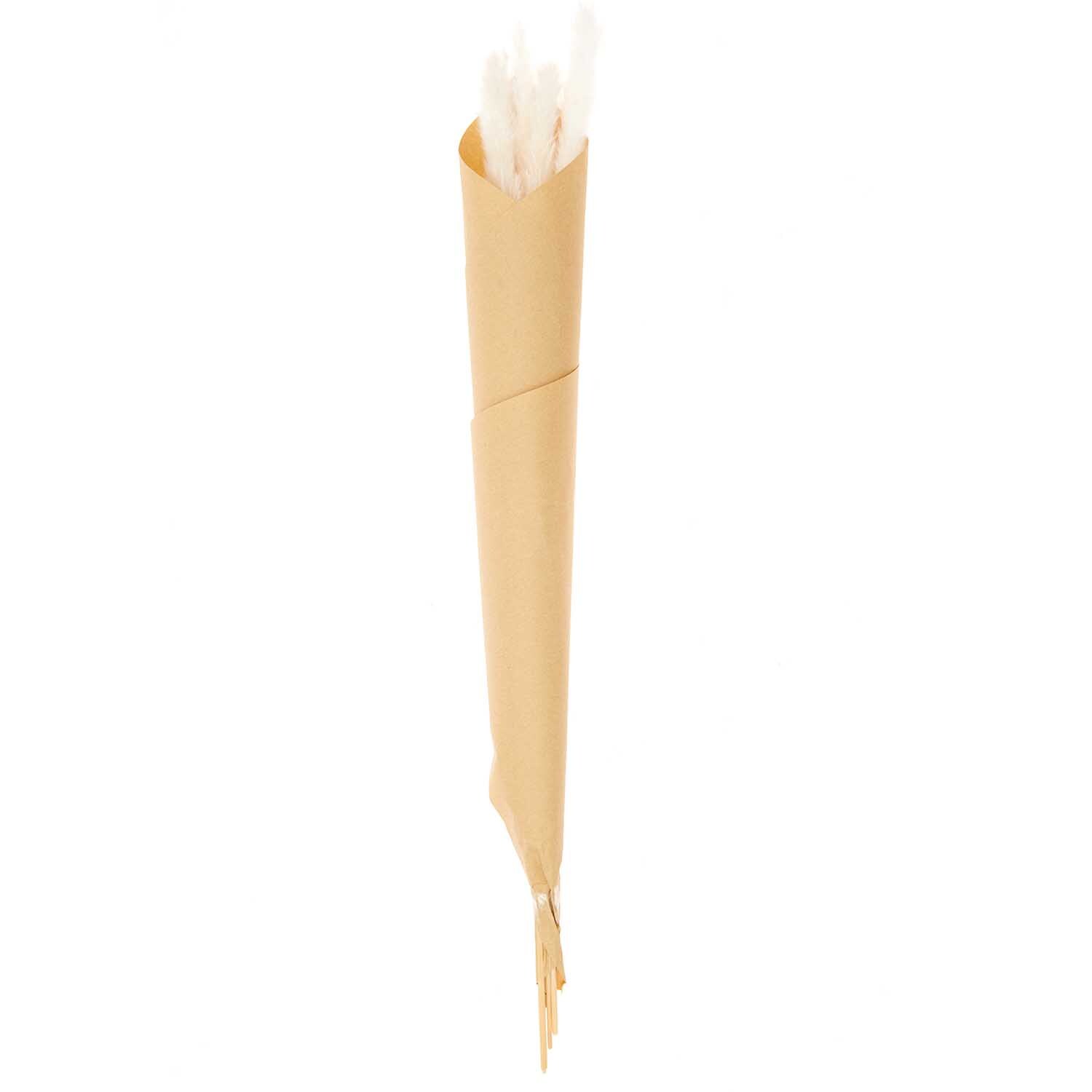 Getrocknetes Pampasgras weiß 65-75cm 6 Stück von Rico Design