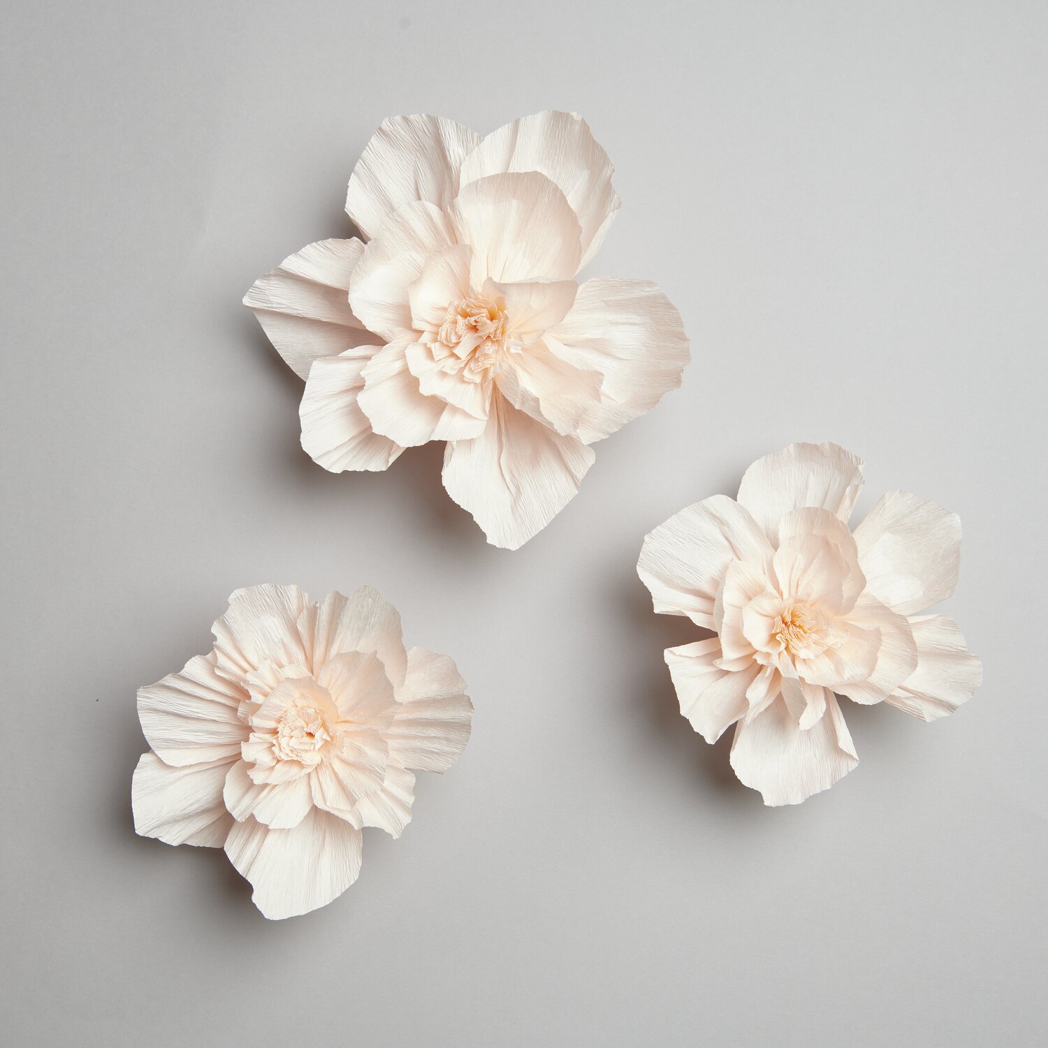 Krepppapier Blüten, Soft Pfirsich, von Rico Design, 3 Stück auf grauem Hintergrund arrangiert.