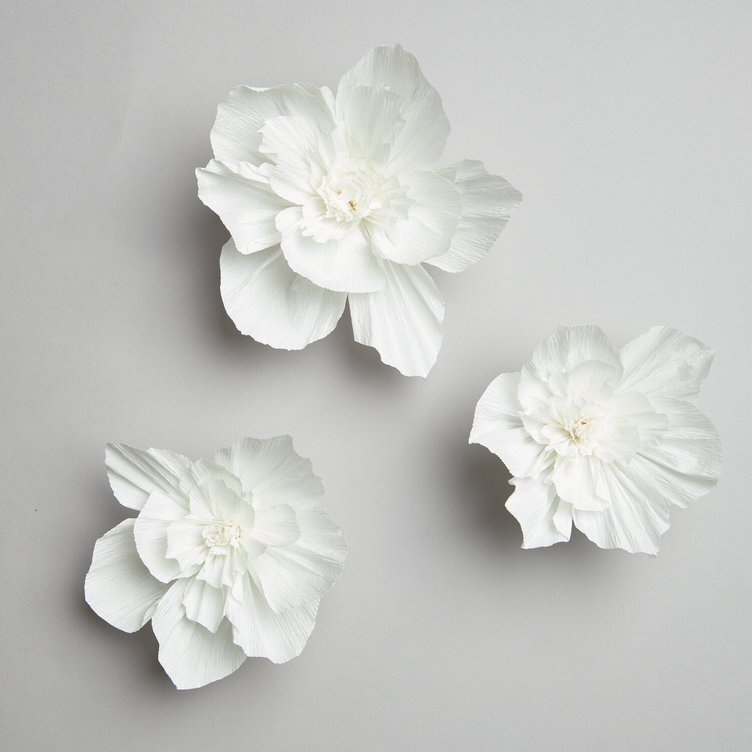 Krepppapier Blüten, 3 Stück, in elegantem Weiß von Rico Design auf grauem Hintergrund arrangiert.