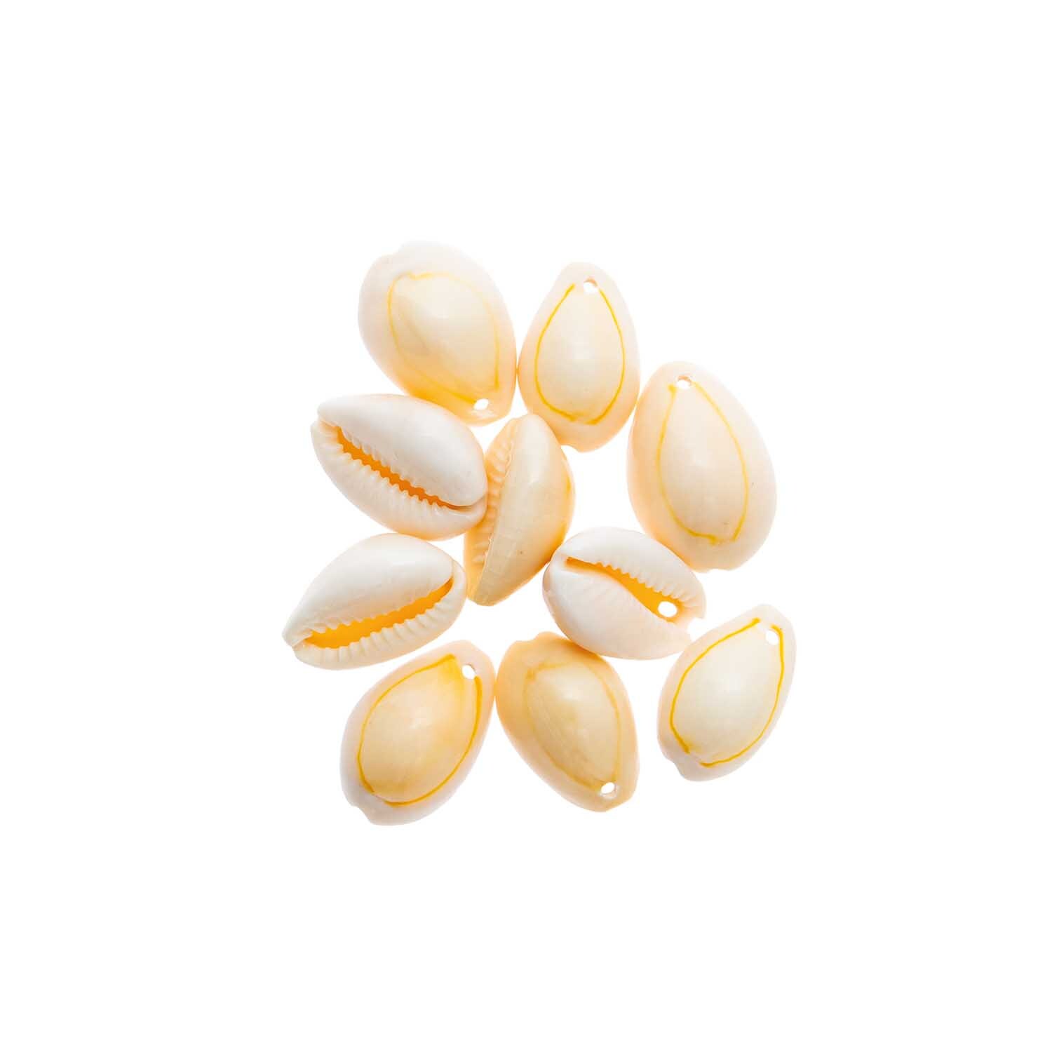 Muscheln mit Bohrung natur 10 Stück von Rico Design in Beige, auf schwarzem Hintergrund arrangiert.