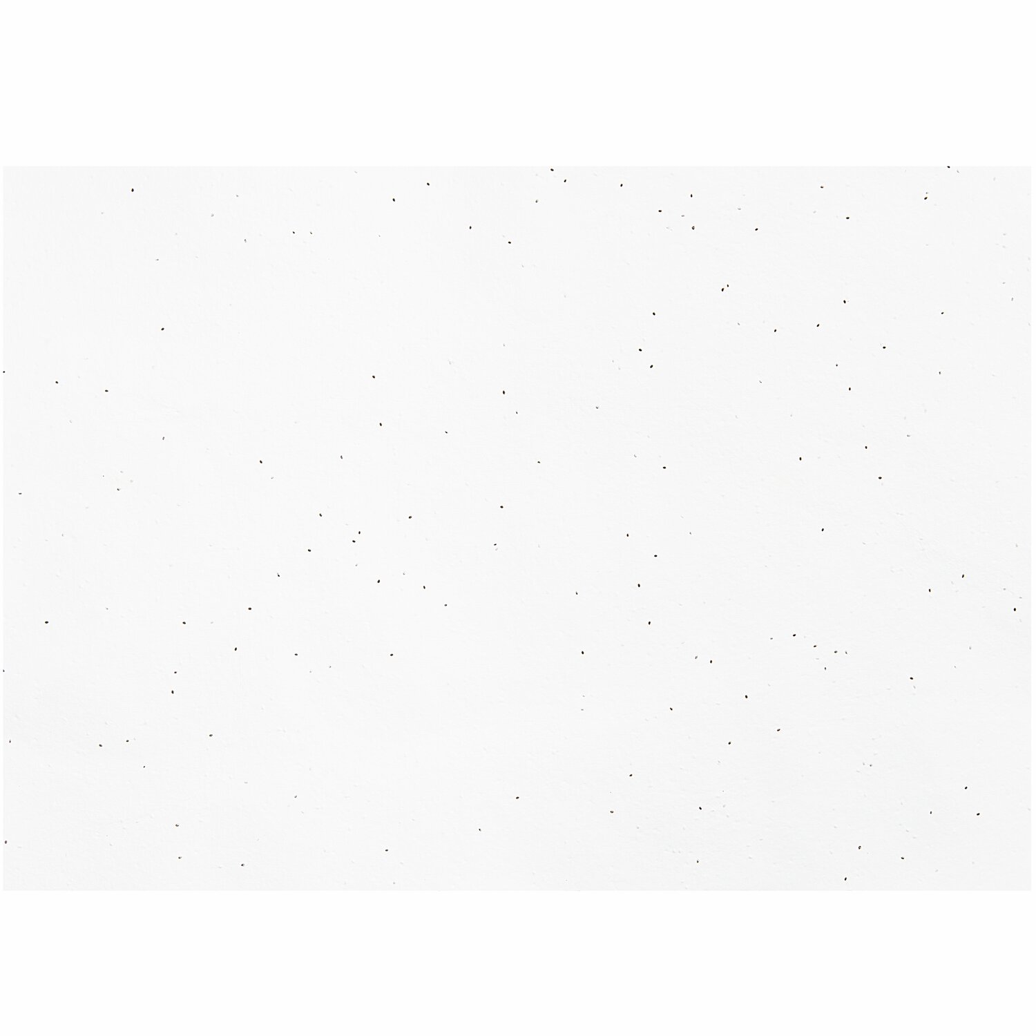 Paper Poetry Bastelbogen aus Baumwollpapier mit Basilikumsamen, 50x70cm, von Rico Design. Weiße Oberfläche mit kleinen Samenpunkten.
