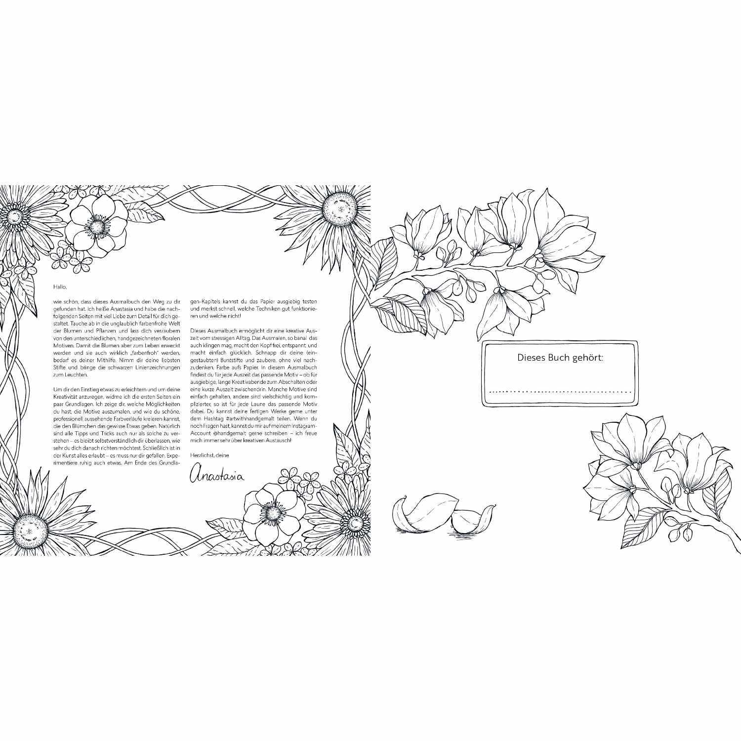 Blütentraum - Florale Motive zum ausmalen von Edition Michael Fischer 