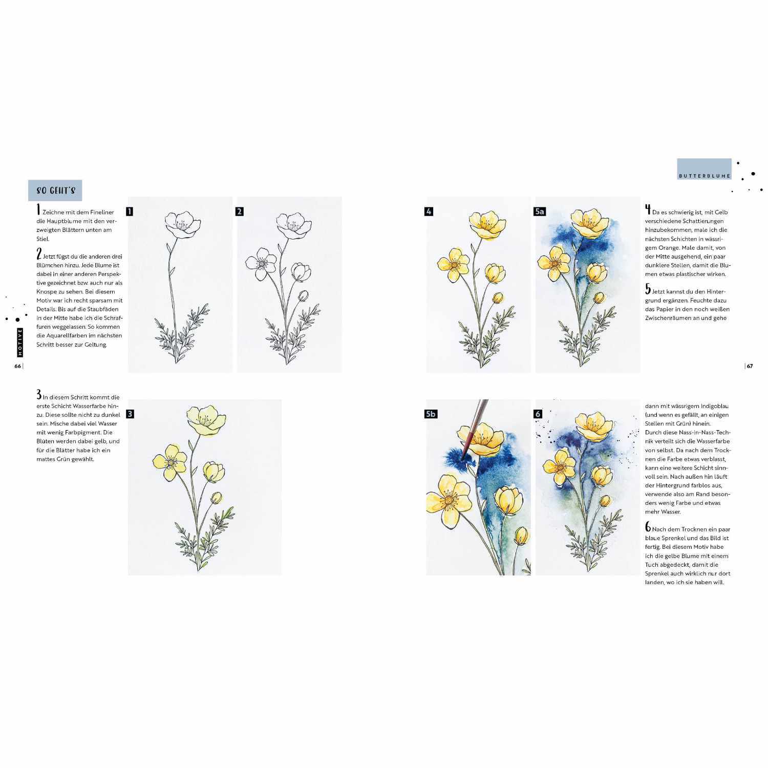 Watercolor - Florale Motive aus Wiese, Wald & Garten zeigt detaillierte Aquarellzeichnungen von gelben Blumen mit blauen Akzenten.