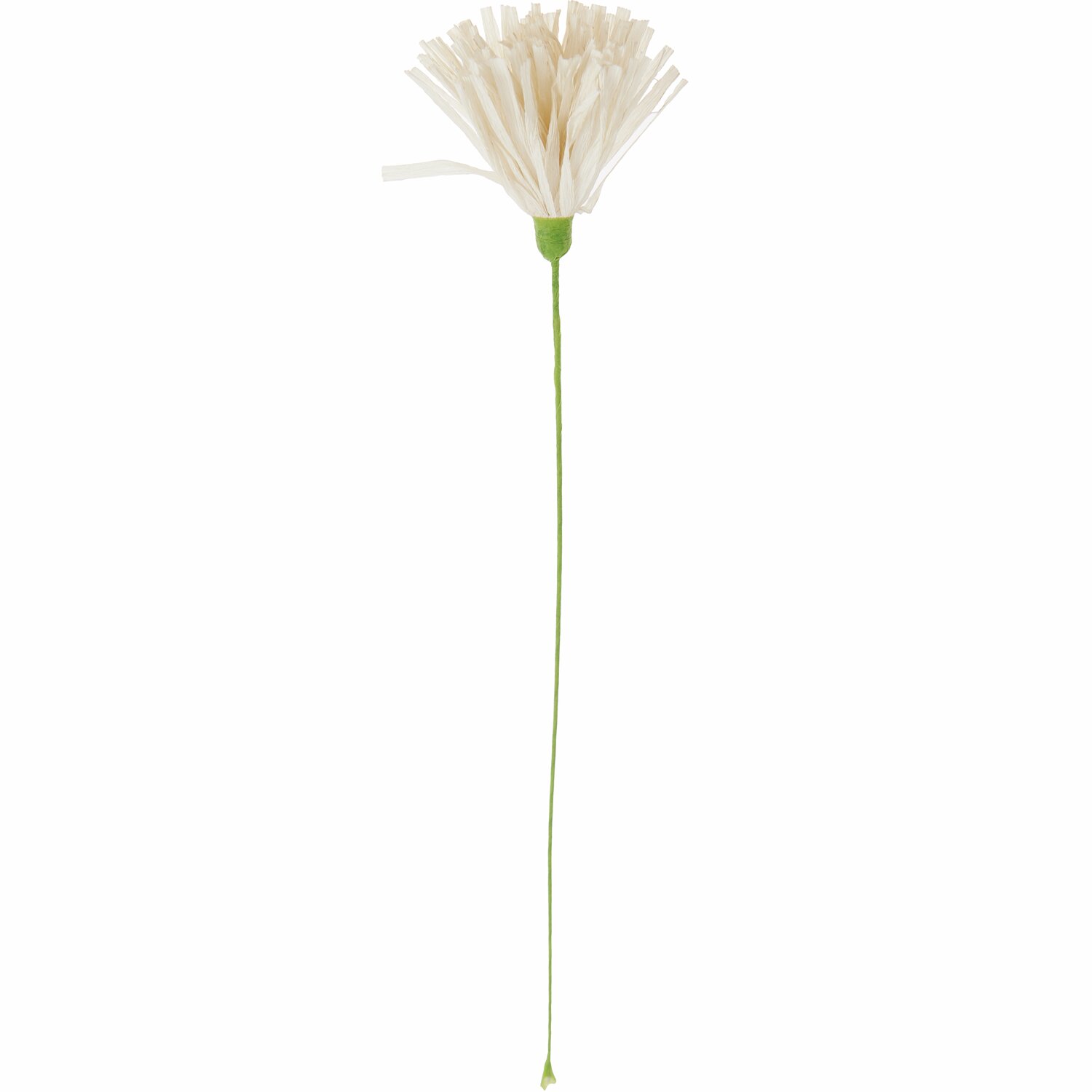 Papierblume Chrysamtheme Creme: Elegante, cremefarbene Blume von Rico Design, 46,5x7cm, ideal für Dekorationen.