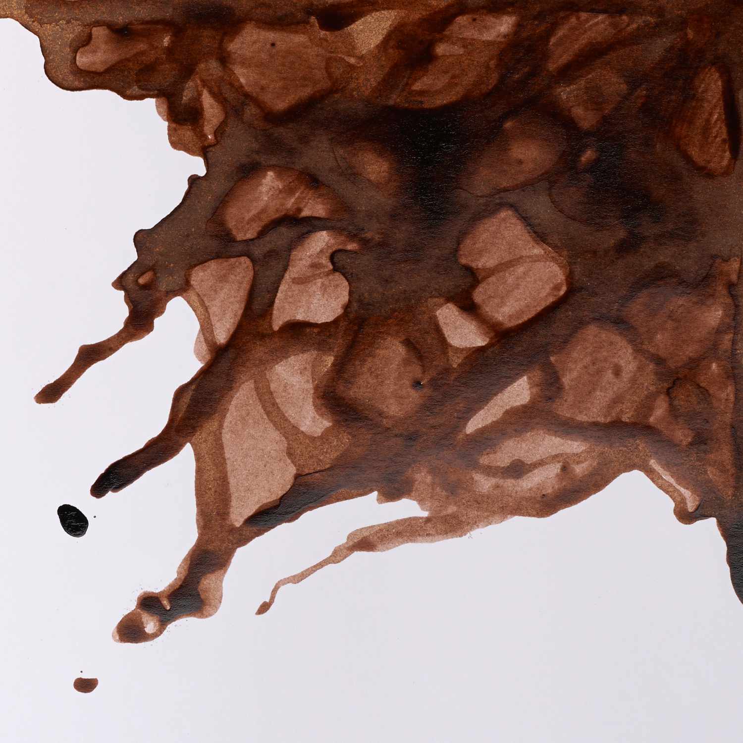 Zeichentusche 14ml in Lehmbraun von Winsor & Newton, zeigt fließende braune Tintenstrukturen auf weißem Hintergrund.