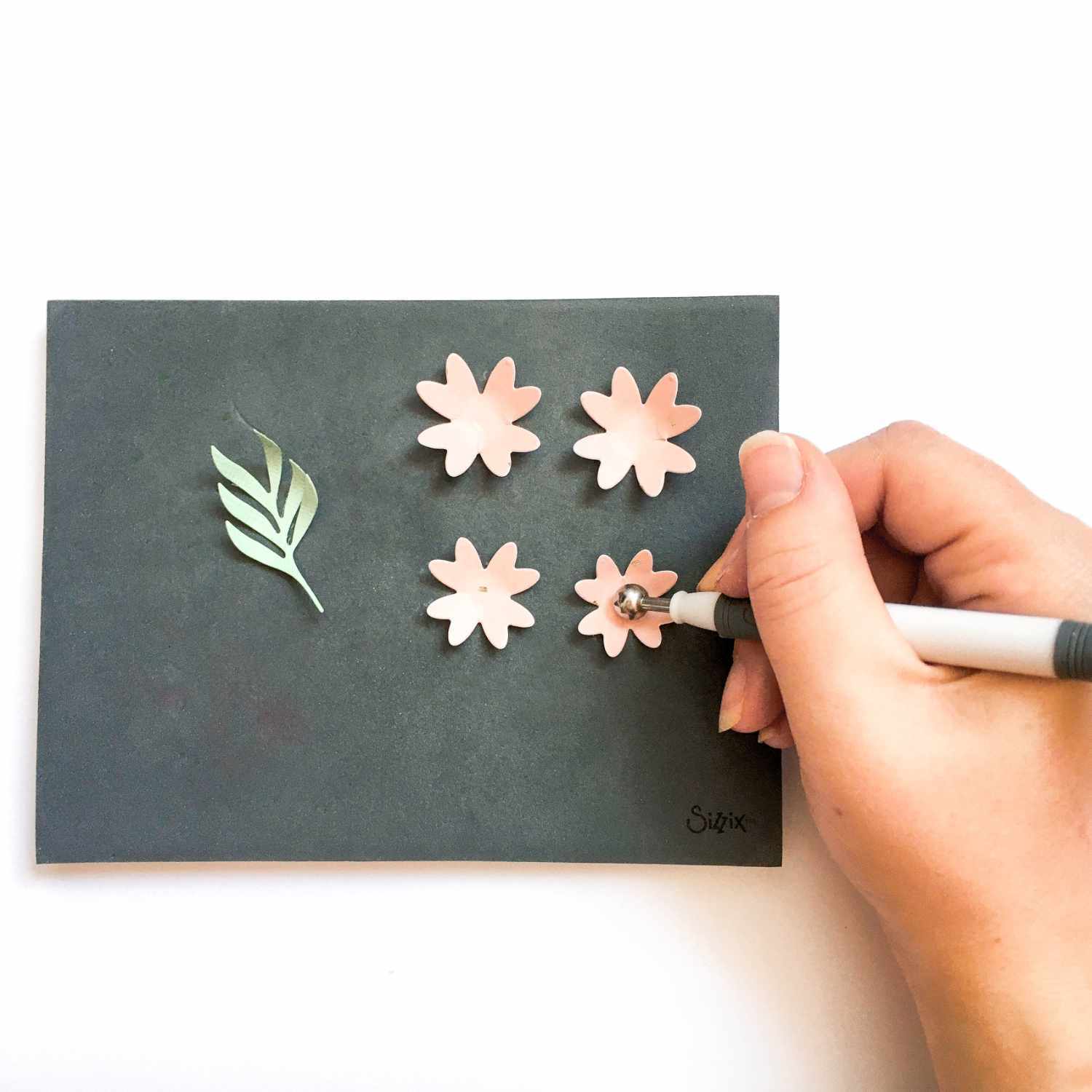 Paper Sculpting Kit: Hand gestaltet Papierblumen auf schwarzem Hintergrund mit Sizzix-Werkzeug.