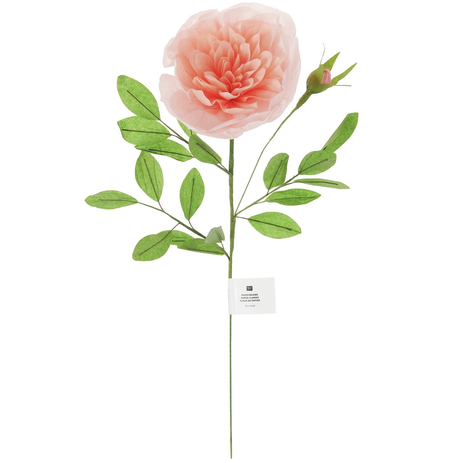Papierblume Rose gefüllt Apricot 53x15cm von Rico Design