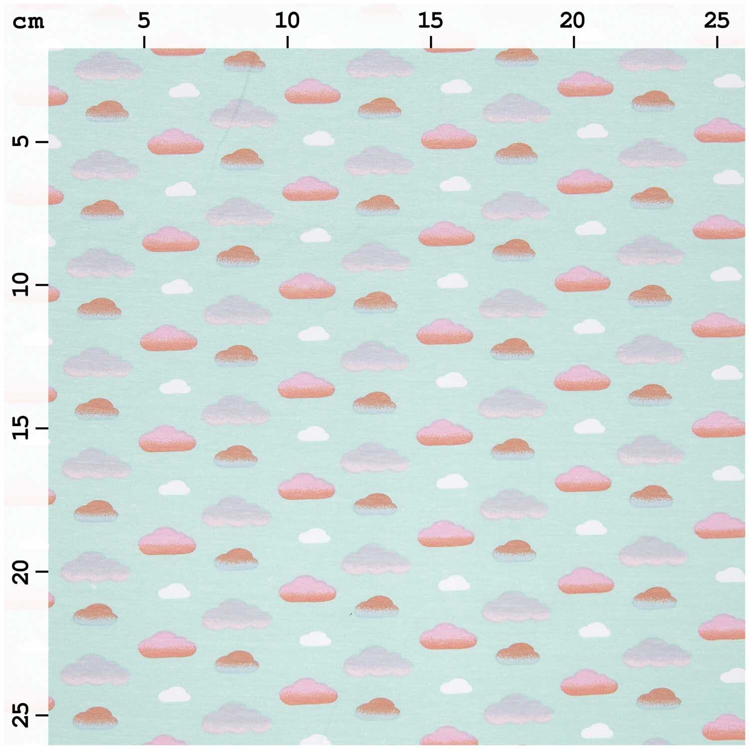 Jerseystoff Happy Baby Wolken mint 72x100cm von Rico Design