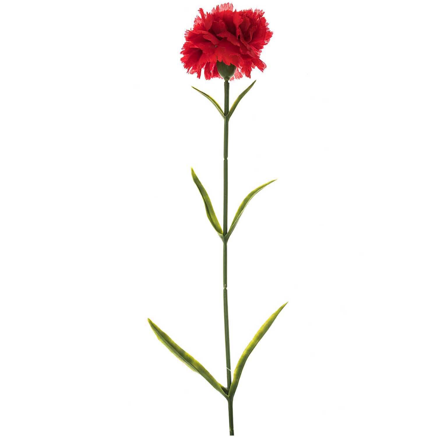 Nelke rot 60cm von idee. Creativmarkt, zeigt eine einzelne rote Nelke mit grünem Stiel und Blättern.