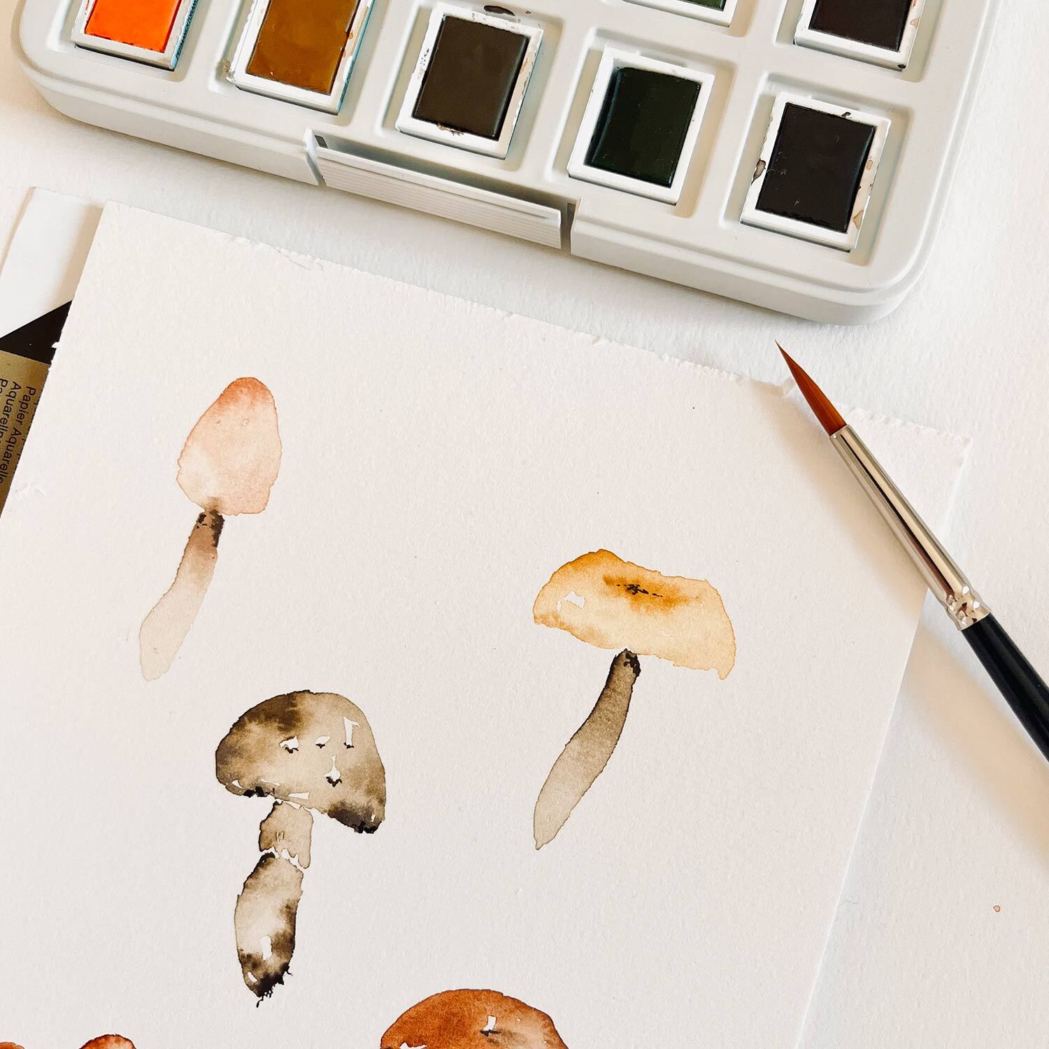 Aquarell Set Naturfarben 12 Näpfchen von van Gogh, Mehrfarbig. Pilz-Aquarelle mit Pinsel.