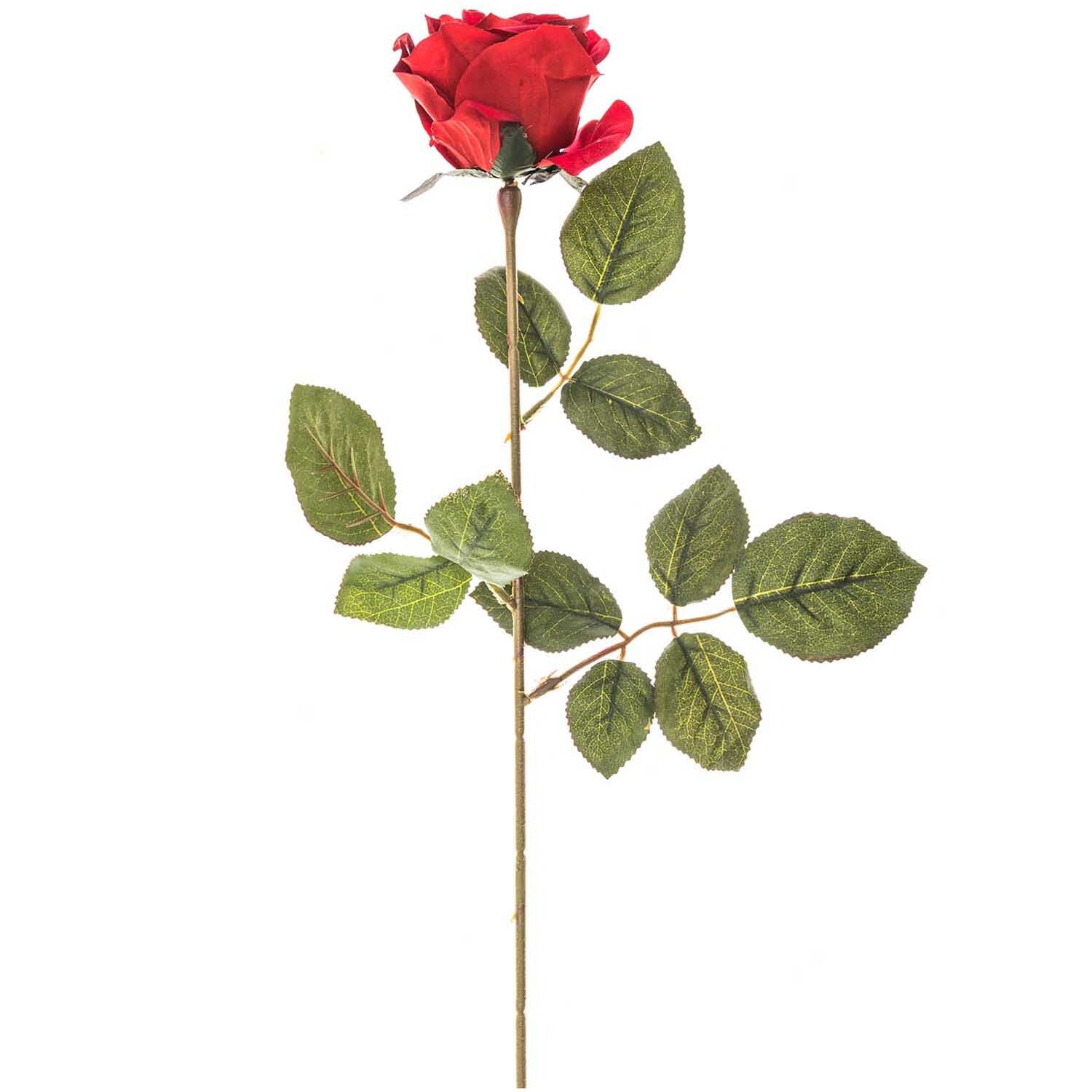 Edelrose 66cm von idee. Creativmarkt, rote Blüte mit grünen Blättern auf langem Stiel.