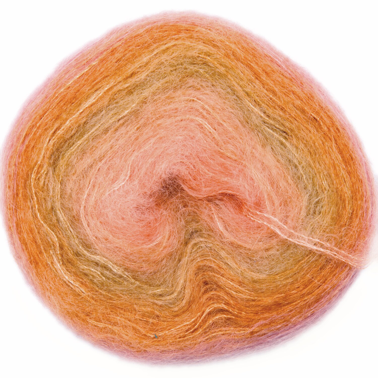 Apricot