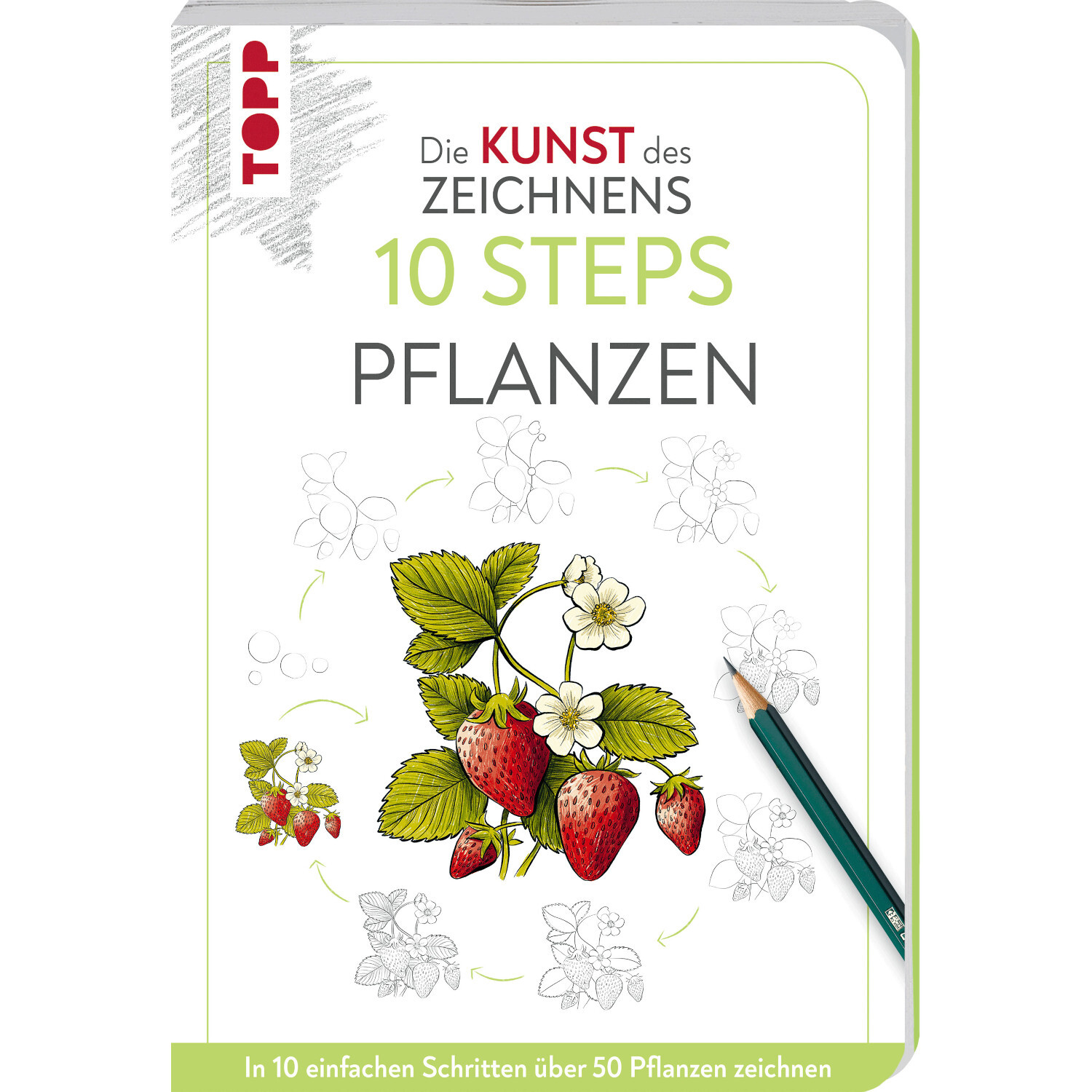 Kunst des Zeichnens 10 Steps Pflanzen: Buchcover mit Erdbeeren und Bleistift, Marke TOPP.