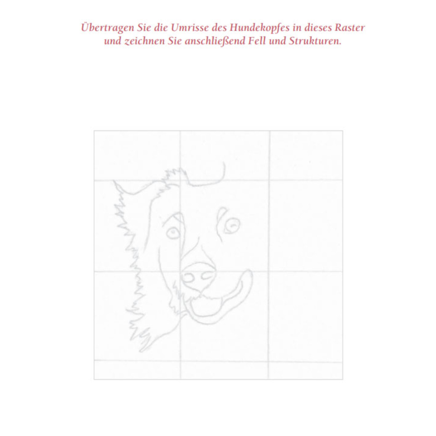 Die Kunst des Zeichnens - Der Quick-Start-Block: Skizze eines Hundekopfes in einem Raster.