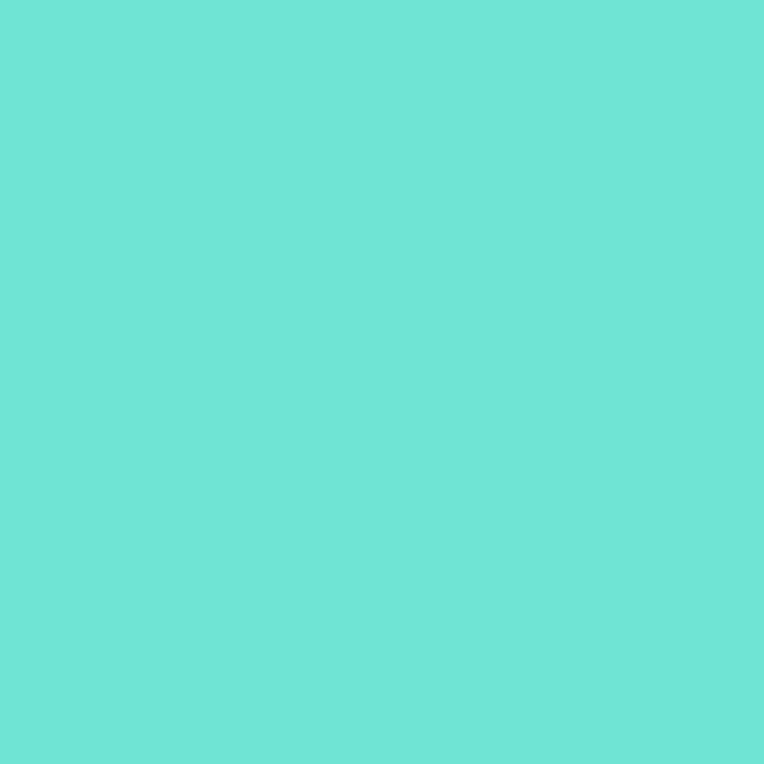 Smart Vinyl Permanent 33x91cm Farbe Mint von Cricut Germany 