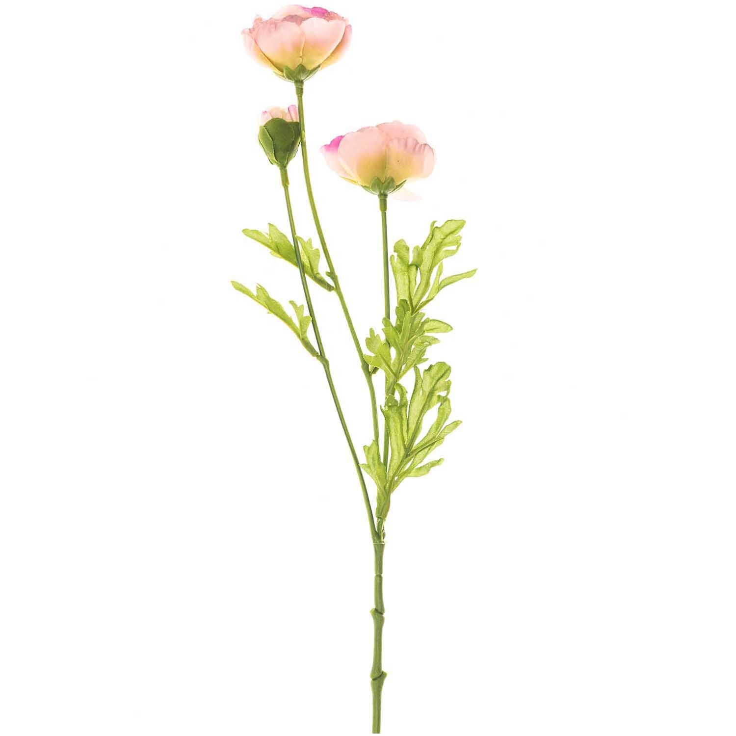 Ranunkel rosa 42cm: Zarte rosa Blüten auf langen Stielen mit grünen Blättern, ideal für Dekorationen.